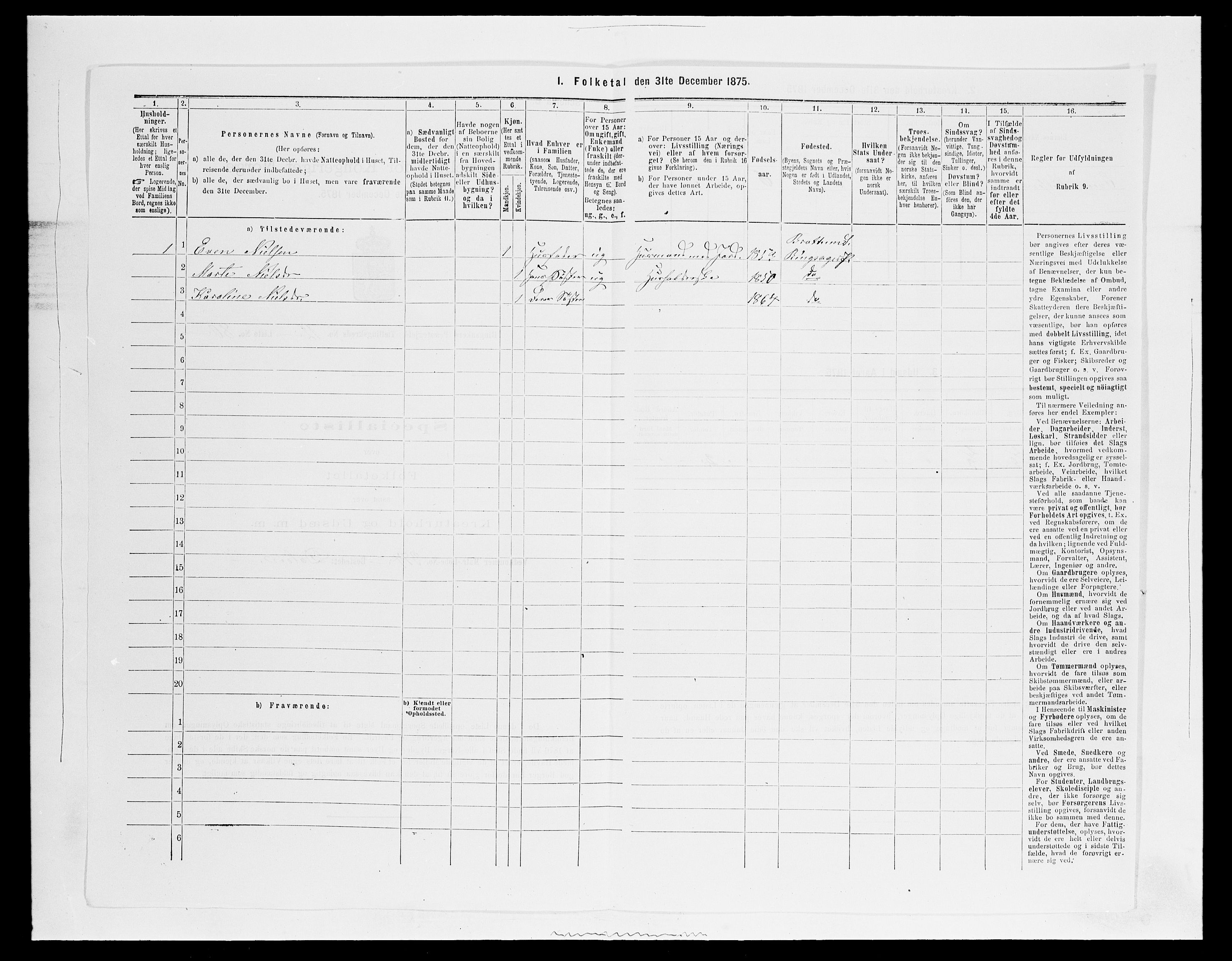 SAH, 1875 census for 0412P Ringsaker, 1875, p. 2569