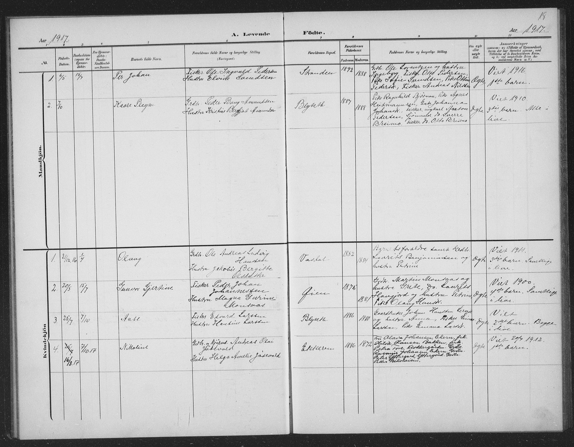 Ministerialprotokoller, klokkerbøker og fødselsregistre - Nordland, AV/SAT-A-1459/833/L0502: Parish register (copy) no. 833C01, 1906-1934, p. 18