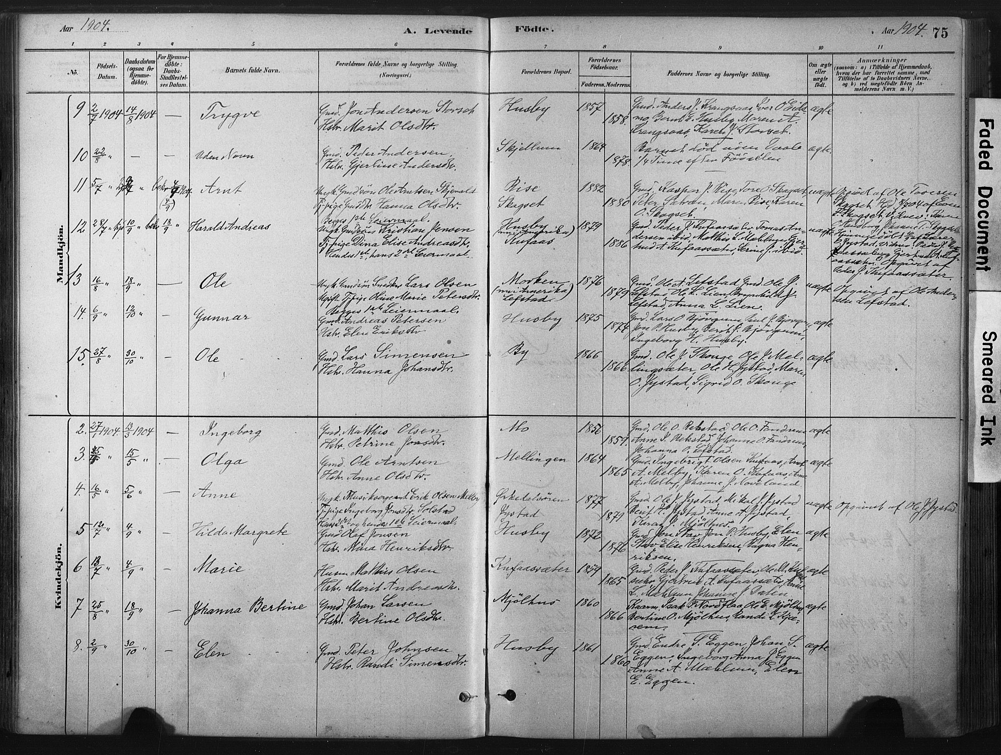 Ministerialprotokoller, klokkerbøker og fødselsregistre - Sør-Trøndelag, SAT/A-1456/667/L0795: Parish register (official) no. 667A03, 1879-1907, p. 75