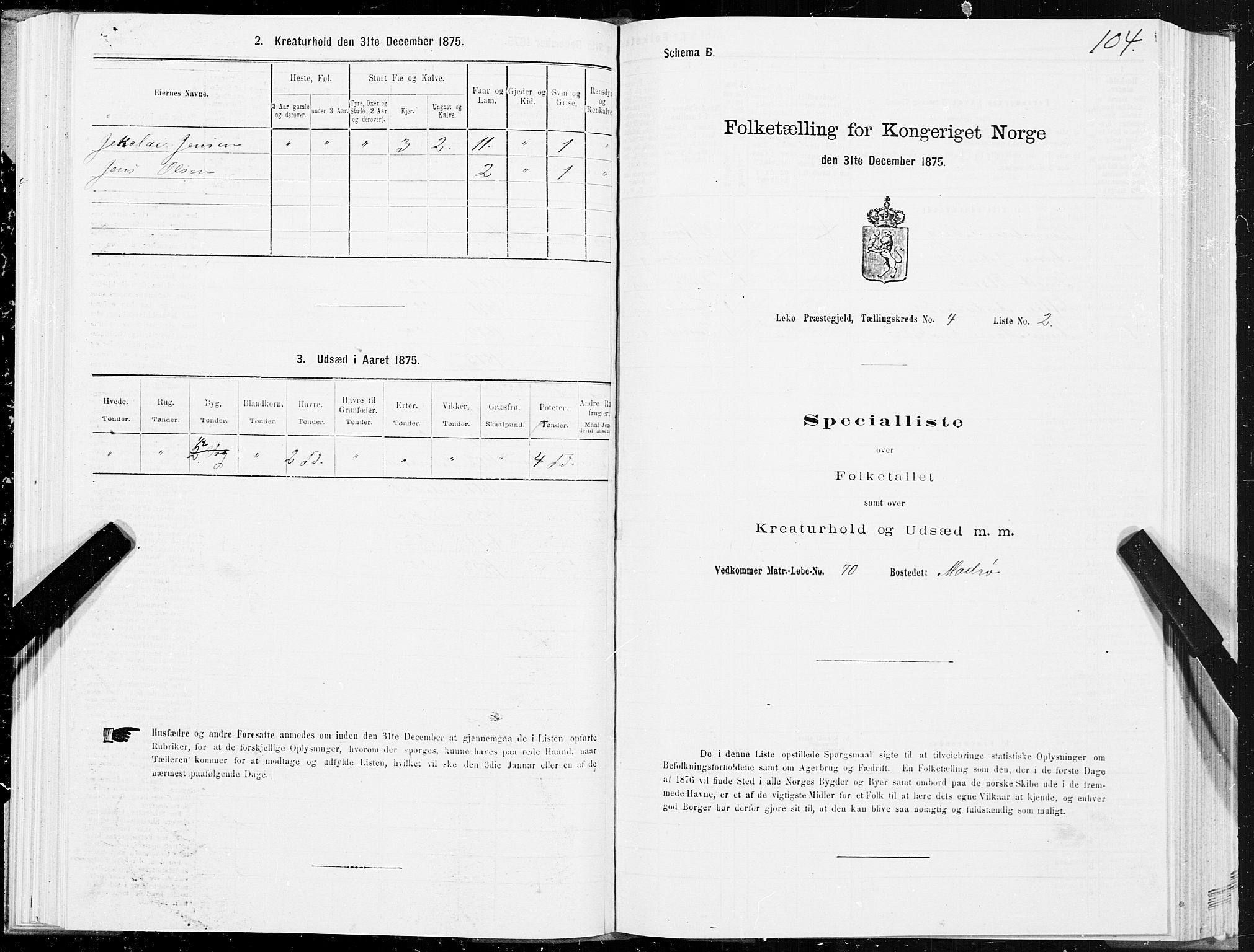 SAT, 1875 census for 1755P Leka, 1875, p. 2104