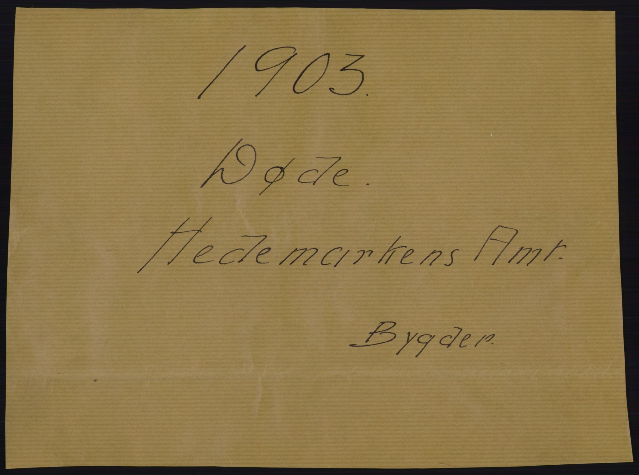 Statistisk sentralbyrå, Sosiodemografiske emner, Befolkning, AV/RA-S-2228/D/Df/Dfa/Dfaa/L0005: Hedemarkens amt: Fødte, gifte, døde, 1903, p. 441