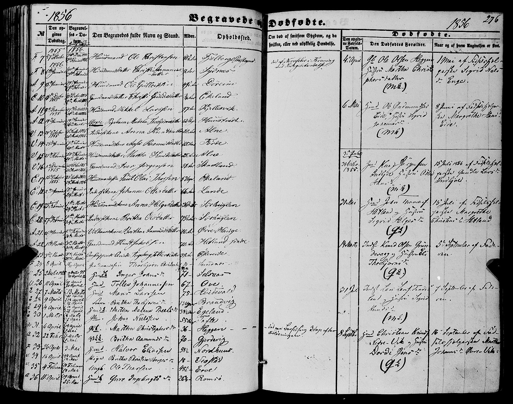 Fjelberg sokneprestembete, SAB/A-75201/H/Haa: Parish register (official) no. A 7, 1851-1867, p. 276