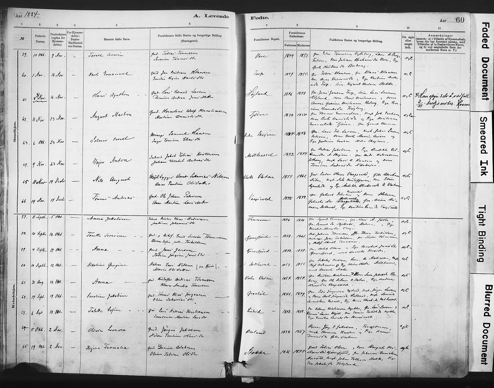 Lista sokneprestkontor, AV/SAK-1111-0027/F/Fa/L0012: Parish register (official) no. A 12, 1879-1903, p. 60