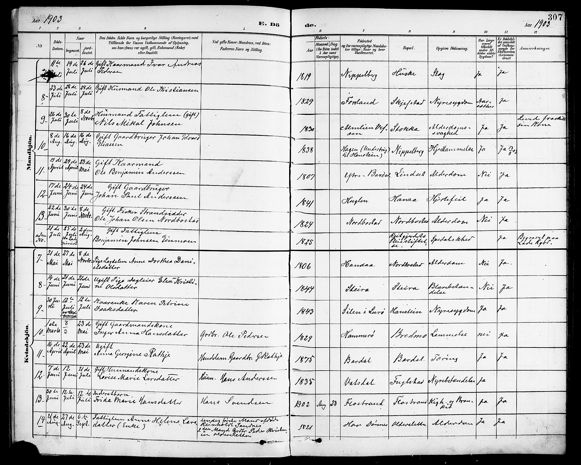 Ministerialprotokoller, klokkerbøker og fødselsregistre - Nordland, SAT/A-1459/838/L0559: Parish register (copy) no. 838C06, 1893-1910, p. 307