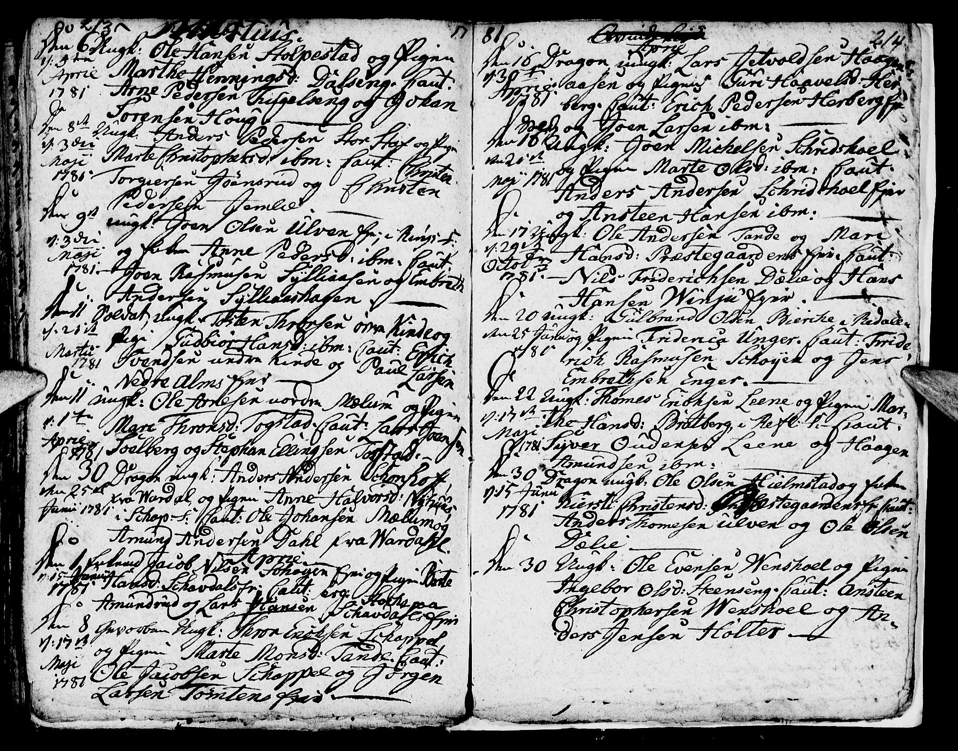 Ringsaker prestekontor, AV/SAH-PREST-014/I/Ia/L0005/0003: Parish register draft no. 5.3, 1780-1784, p. 213-214