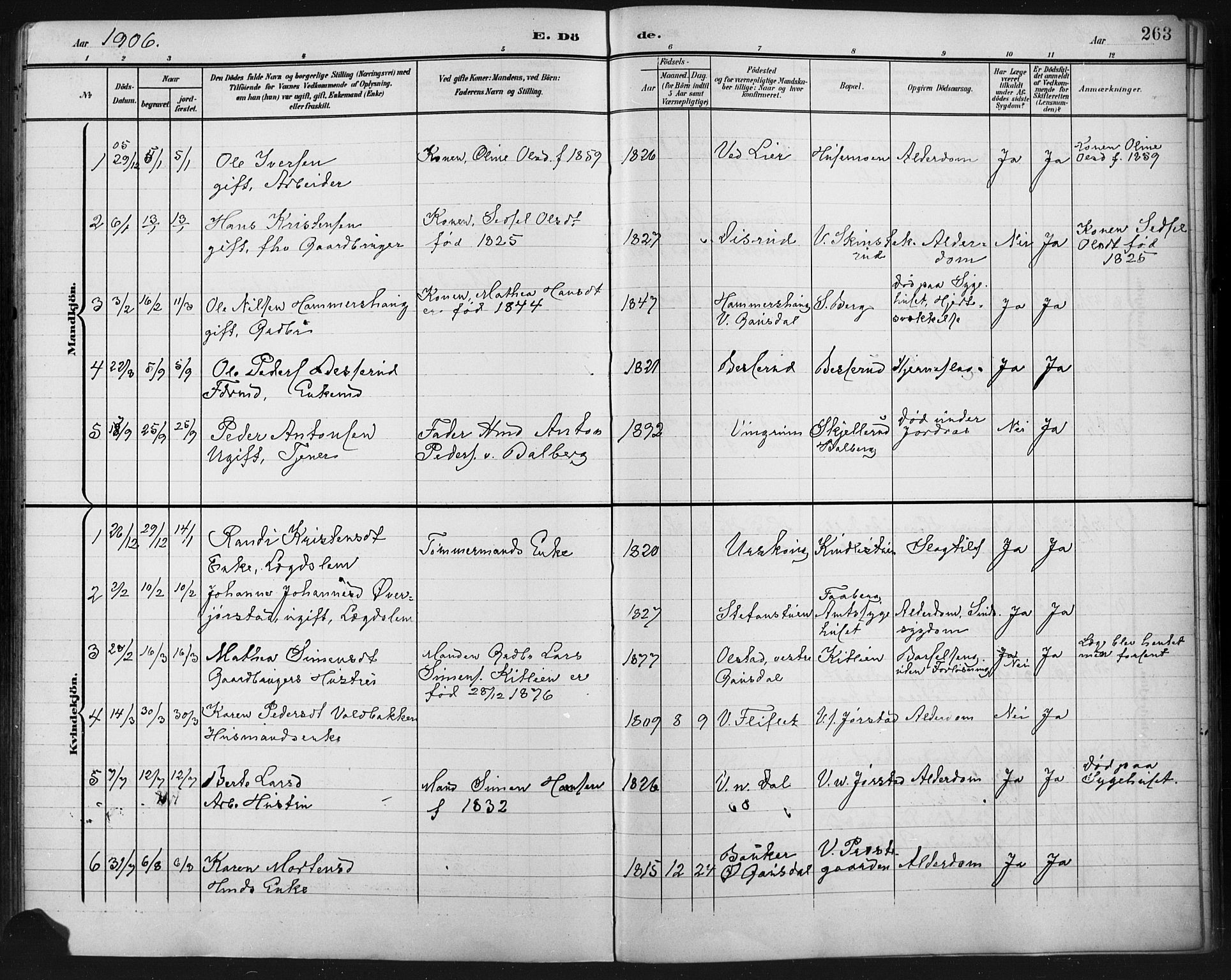 Fåberg prestekontor, AV/SAH-PREST-086/H/Ha/Hab/L0011: Parish register (copy) no. 11, 1901-1921, p. 263