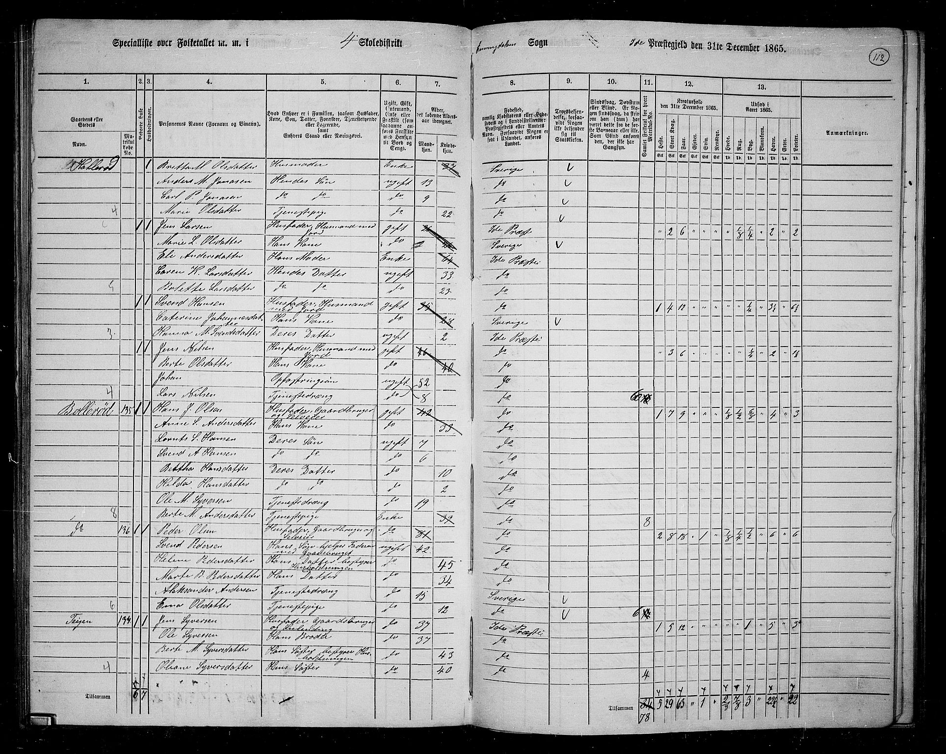 RA, 1865 census for Idd, 1865, p. 101