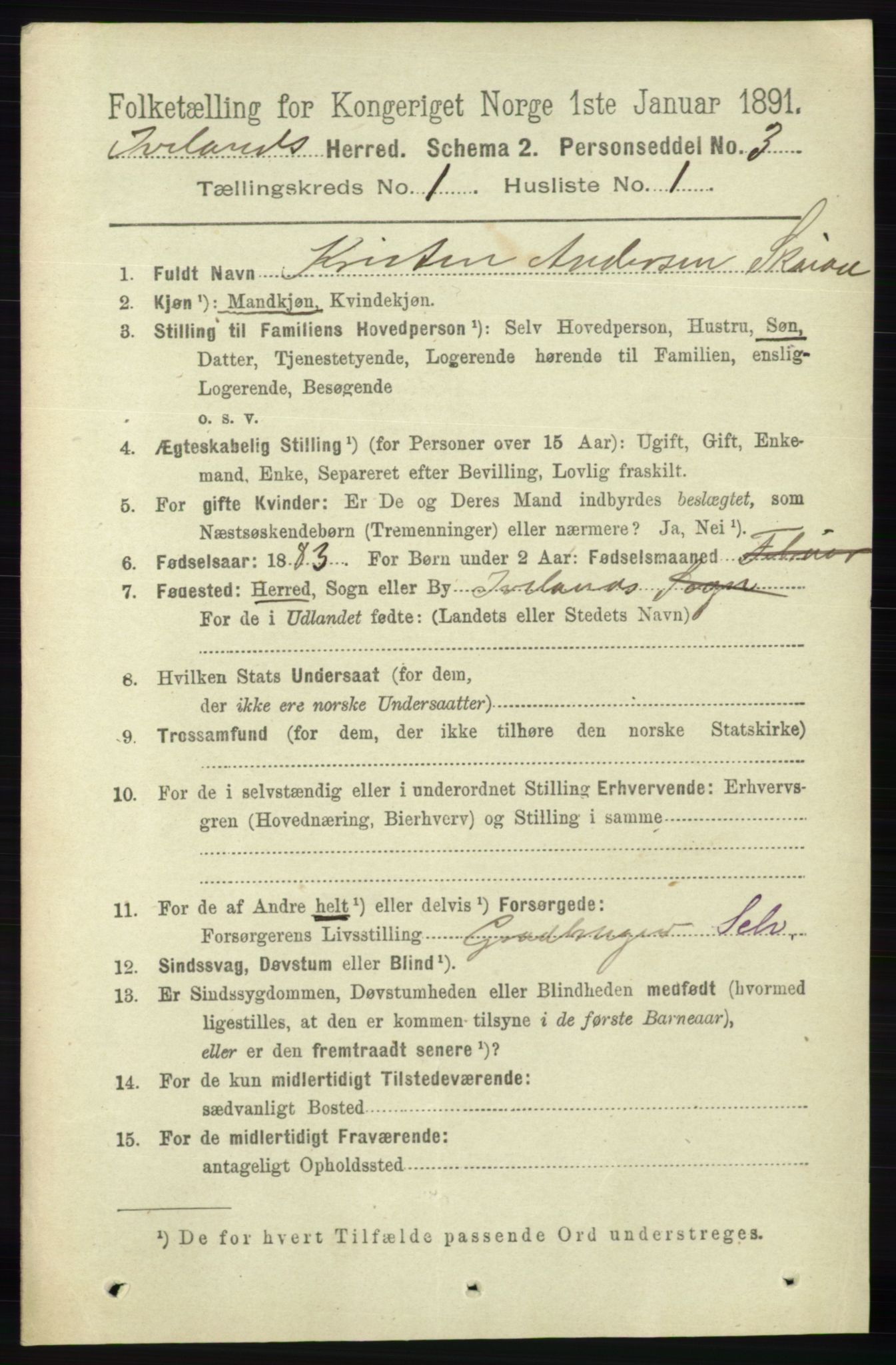 RA, 1891 census for 0935 Iveland, 1891, p. 62