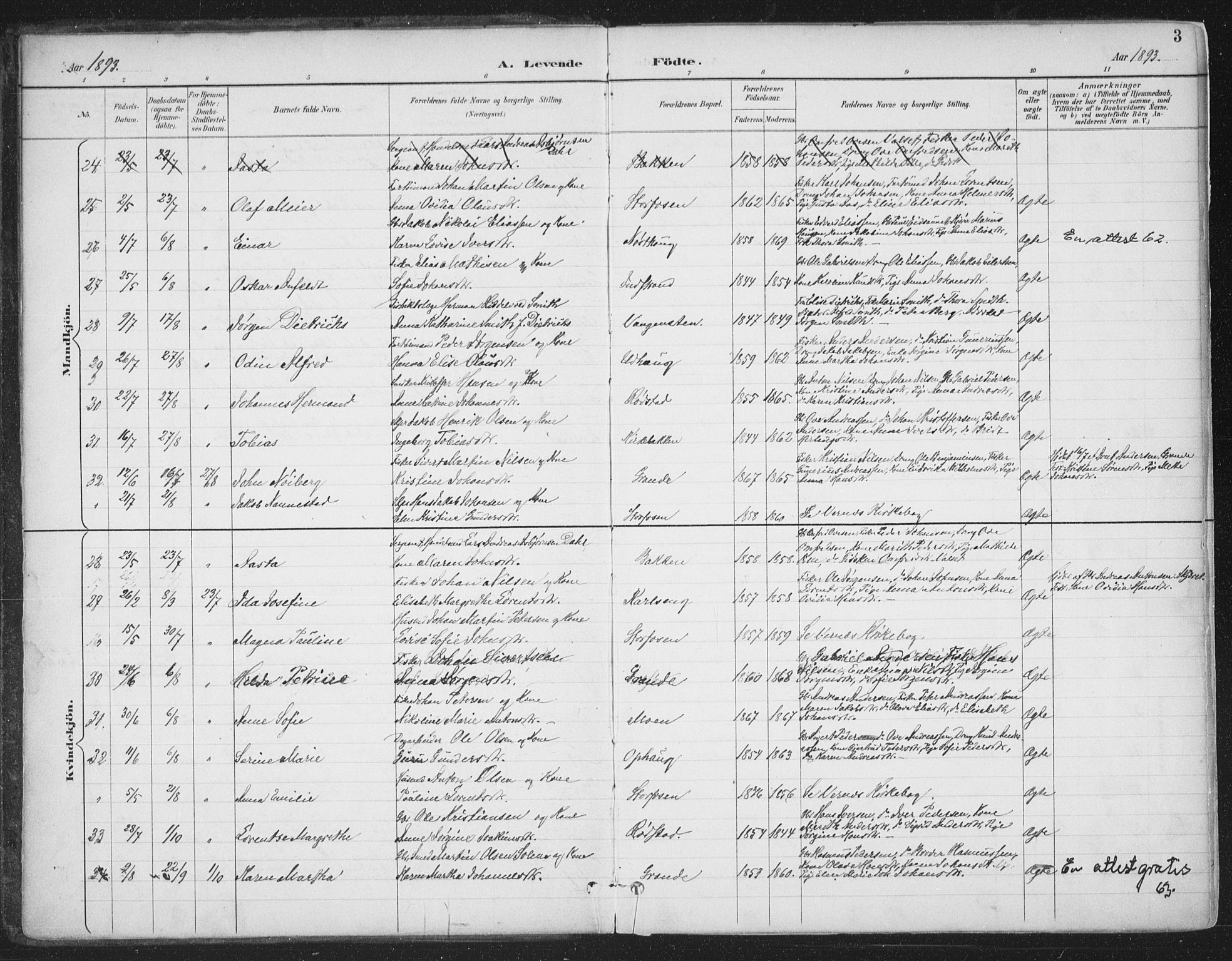 Ministerialprotokoller, klokkerbøker og fødselsregistre - Sør-Trøndelag, SAT/A-1456/659/L0743: Parish register (official) no. 659A13, 1893-1910, p. 3