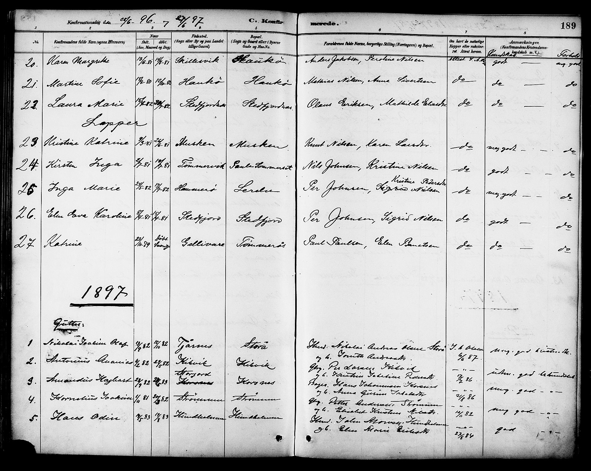 Ministerialprotokoller, klokkerbøker og fødselsregistre - Nordland, AV/SAT-A-1459/861/L0869: Parish register (official) no. 861A04, 1889-1903, p. 189