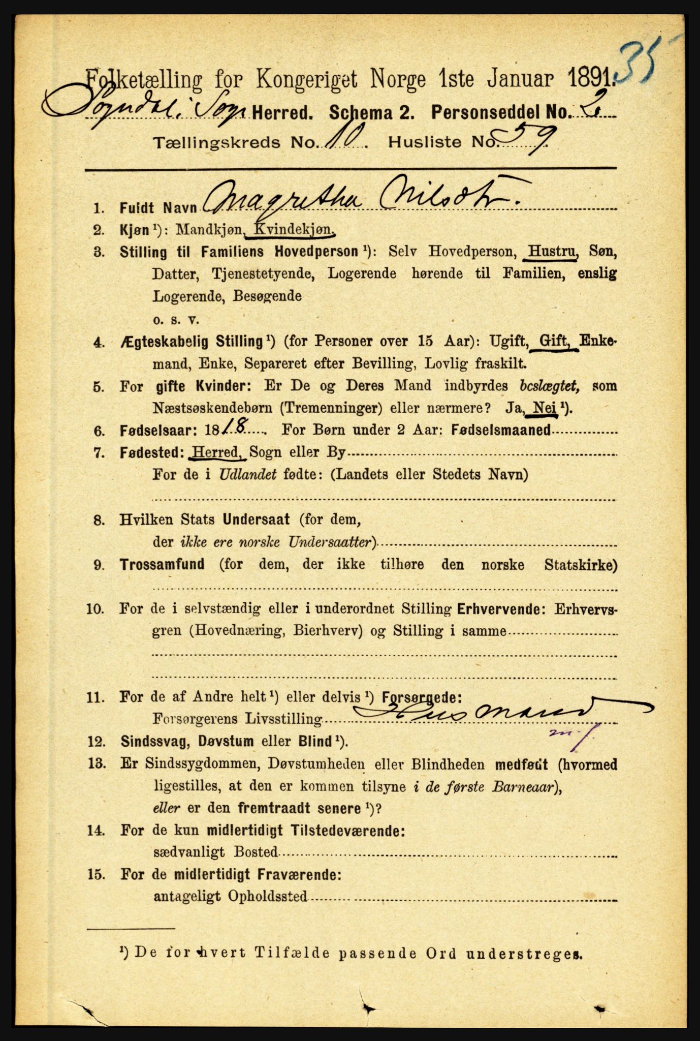 RA, 1891 census for 1420 Sogndal, 1891, p. 4313