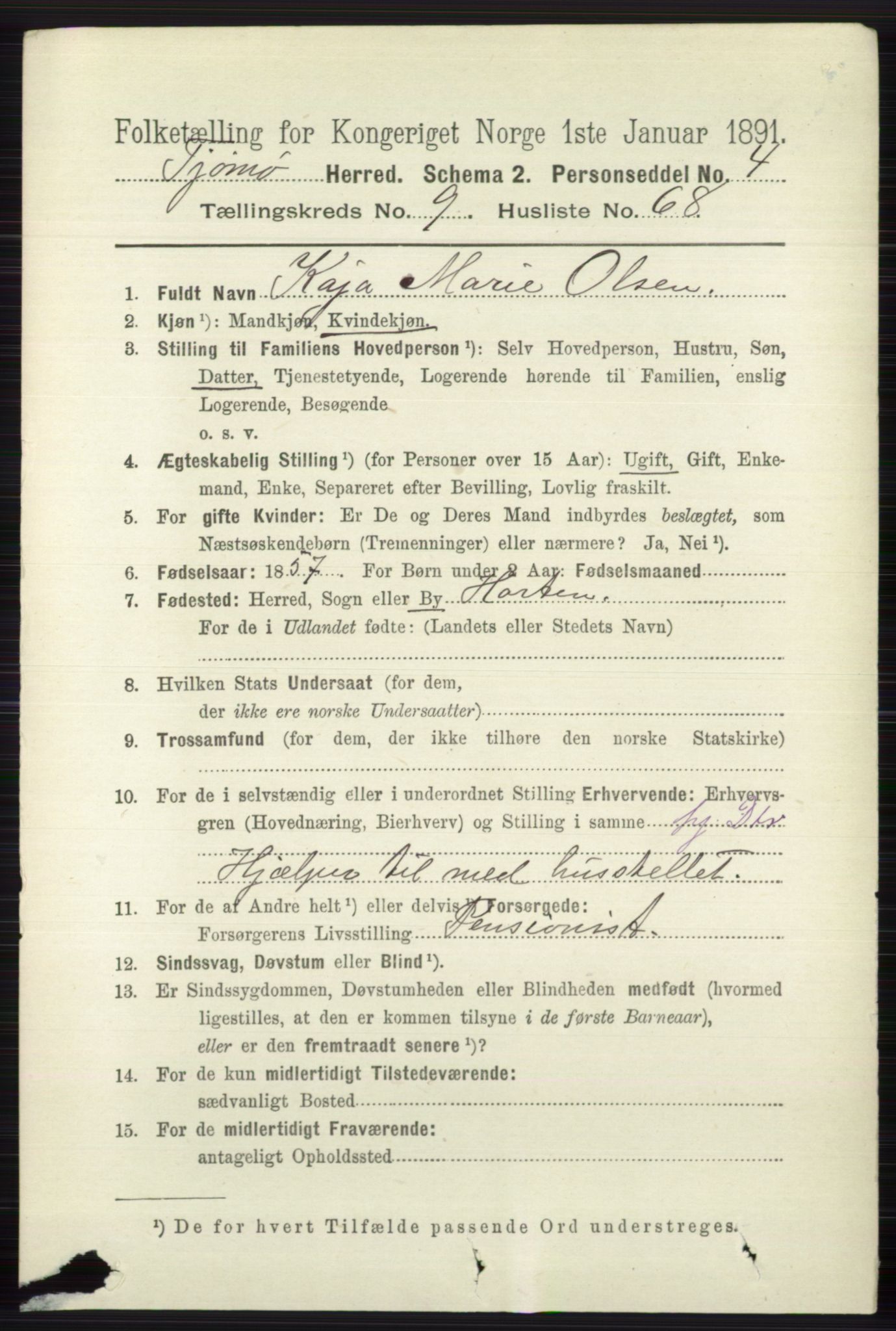 RA, 1891 census for 0723 Tjøme, 1891, p. 3621