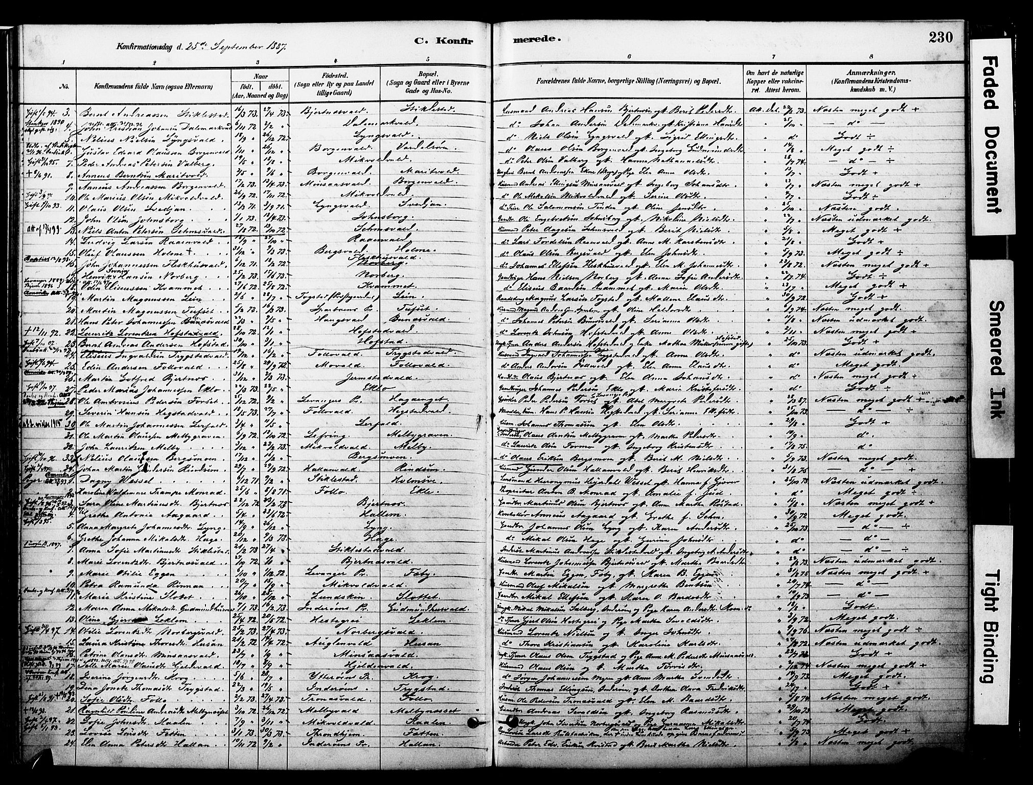 Ministerialprotokoller, klokkerbøker og fødselsregistre - Nord-Trøndelag, SAT/A-1458/723/L0244: Parish register (official) no. 723A13, 1881-1899, p. 230