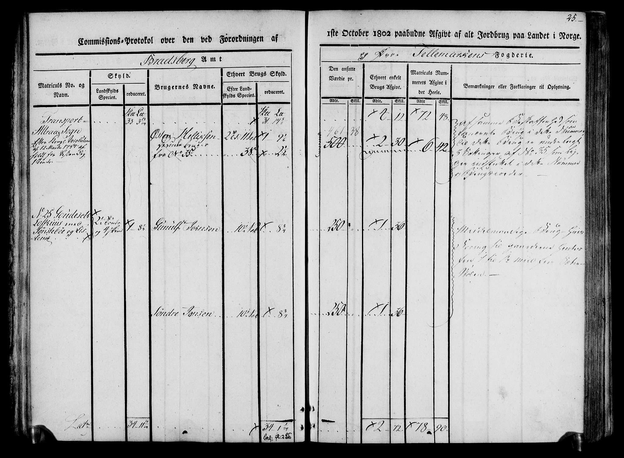 Rentekammeret inntil 1814, Realistisk ordnet avdeling, AV/RA-EA-4070/N/Ne/Nea/L0074: Øvre Telemarken fogderi. Kommisjonsprotokoll for fogderiets østre del - Tinn, Hjartdal og Seljord prestegjeld., 1803, p. 25