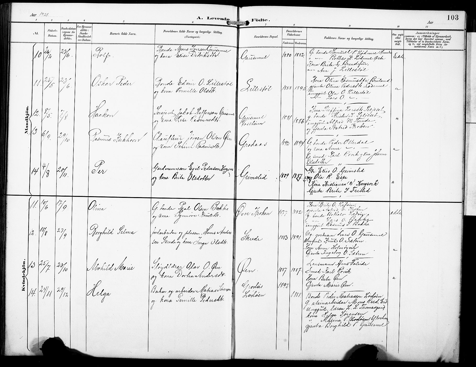 Hornindal sokneprestembete, SAB/A-82401/H/Hab: Parish register (copy) no. A 2, 1894-1927, p. 103