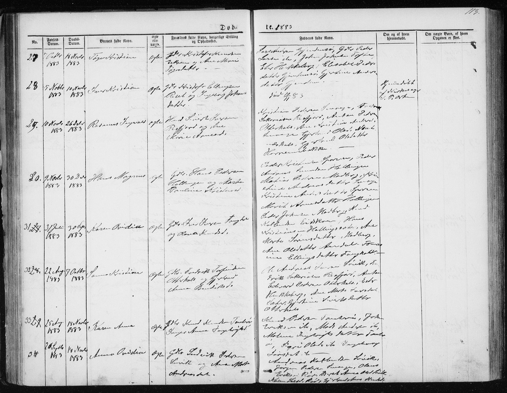Ministerialprotokoller, klokkerbøker og fødselsregistre - Møre og Romsdal, SAT/A-1454/560/L0724: Parish register (copy) no. 560C01, 1867-1892, p. 113