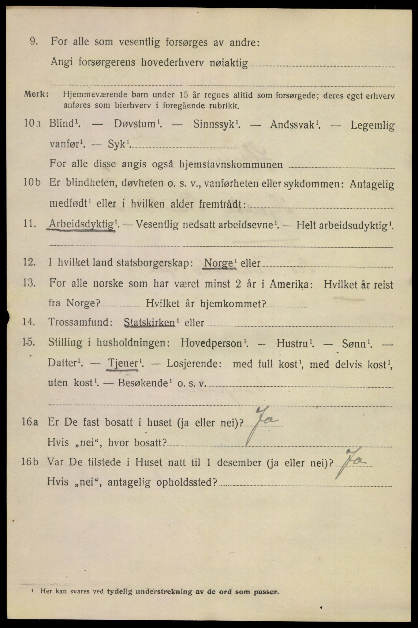 SAKO, 1920 census for Skien, 1920, p. 16839