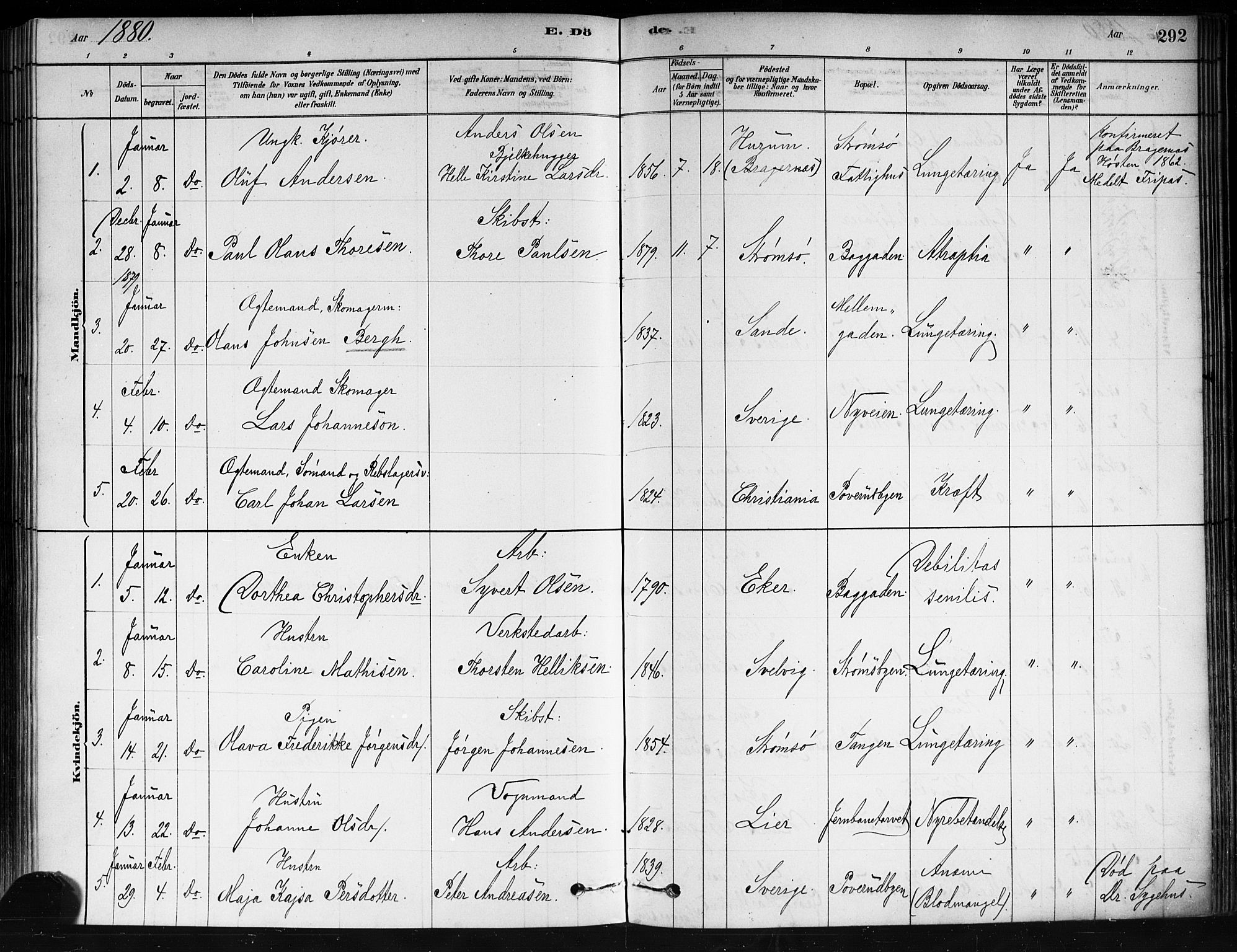 Strømsø kirkebøker, AV/SAKO-A-246/F/Fa/L0021: Parish register (official) no. I 21, 1878-1885, p. 292