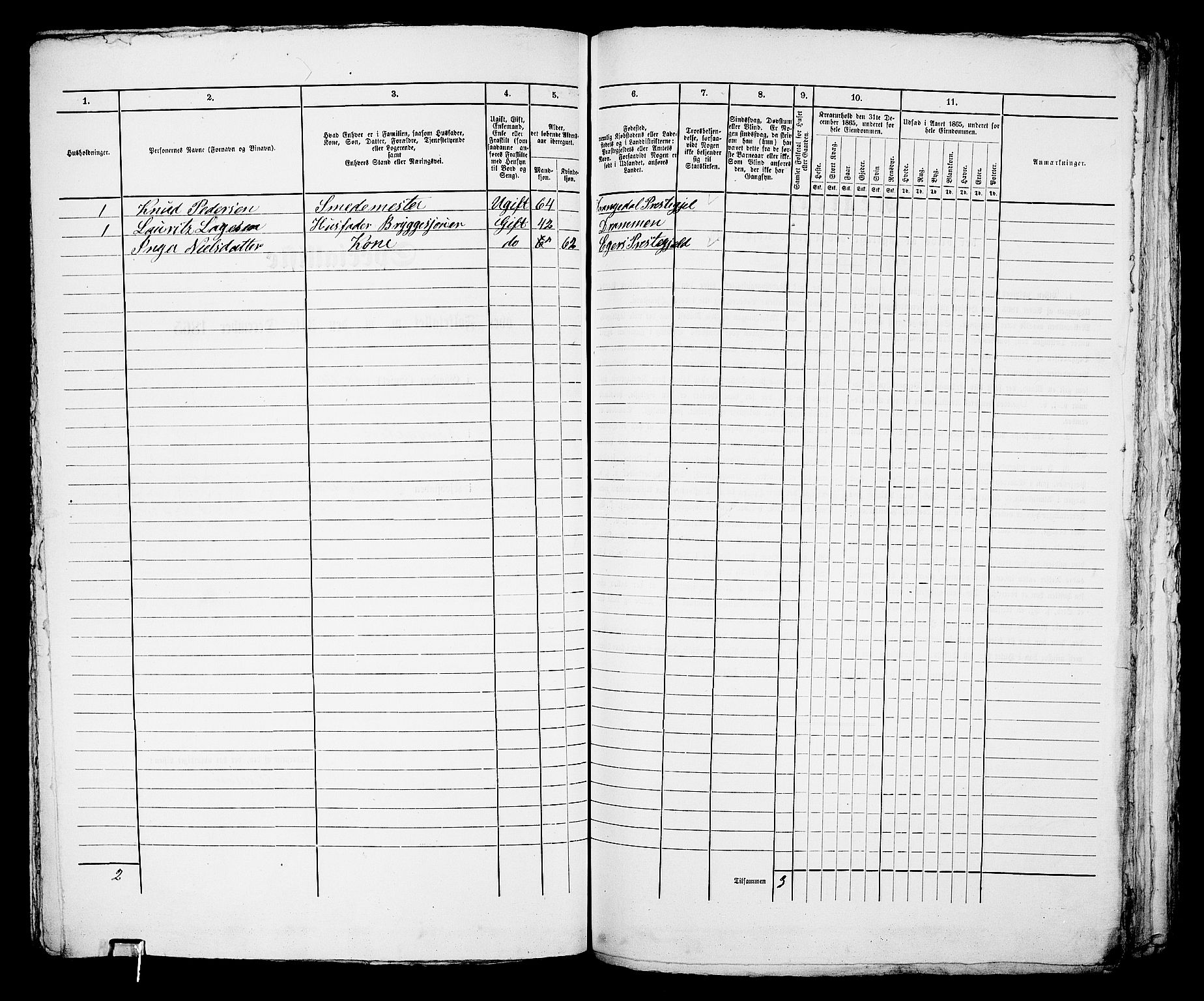 RA, 1865 census for Bragernes in Drammen, 1865, p. 302