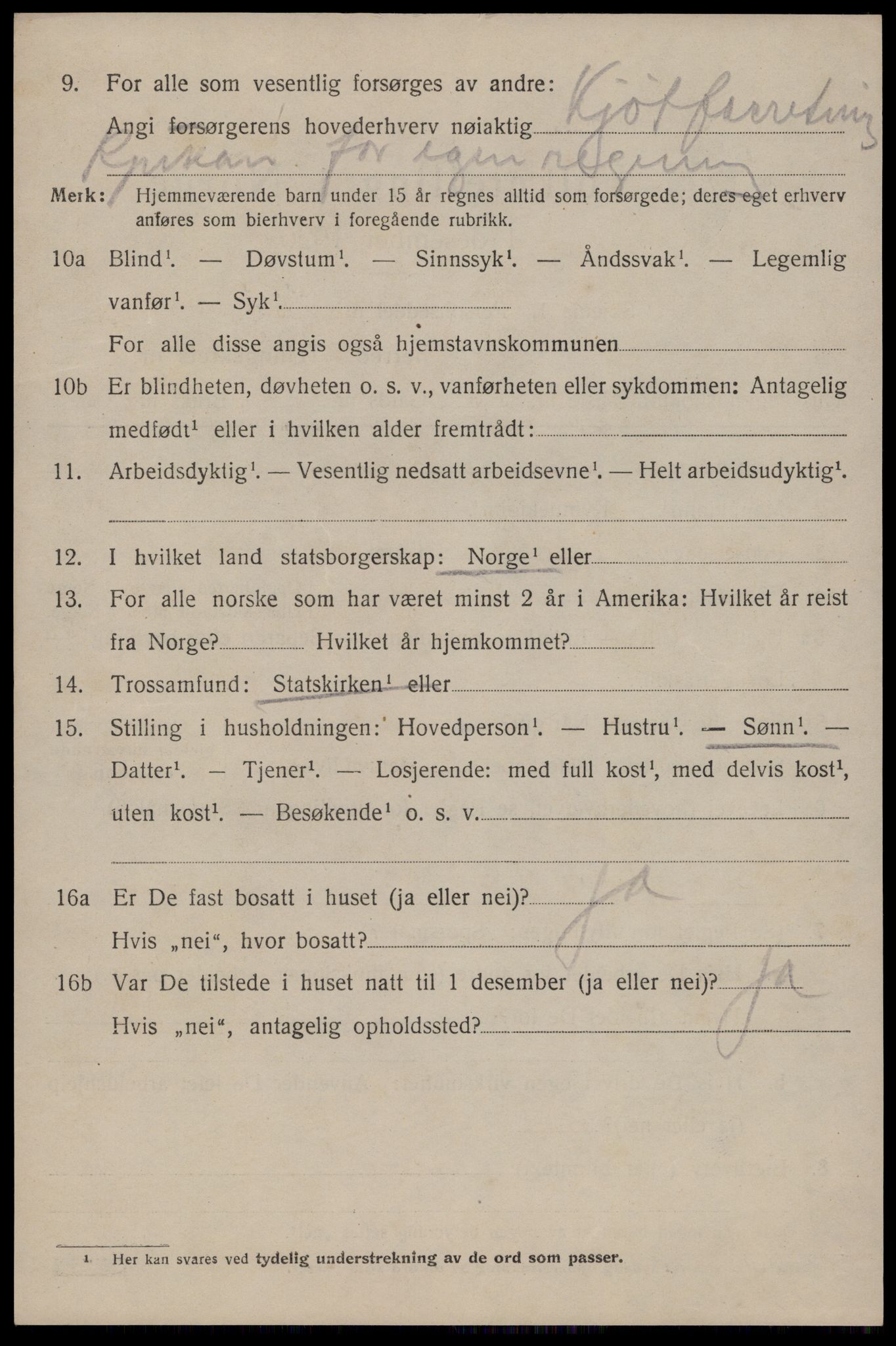 SAKO, 1920 census for Tinn, 1920, p. 16713