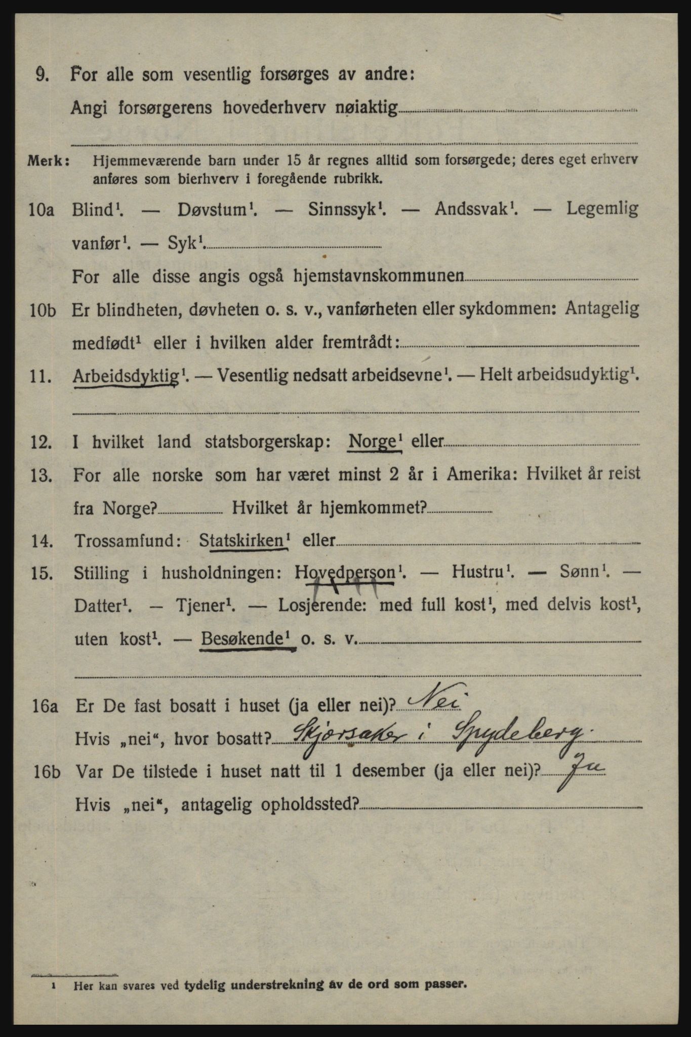 SAO, 1920 census for Skjeberg, 1920, p. 15084