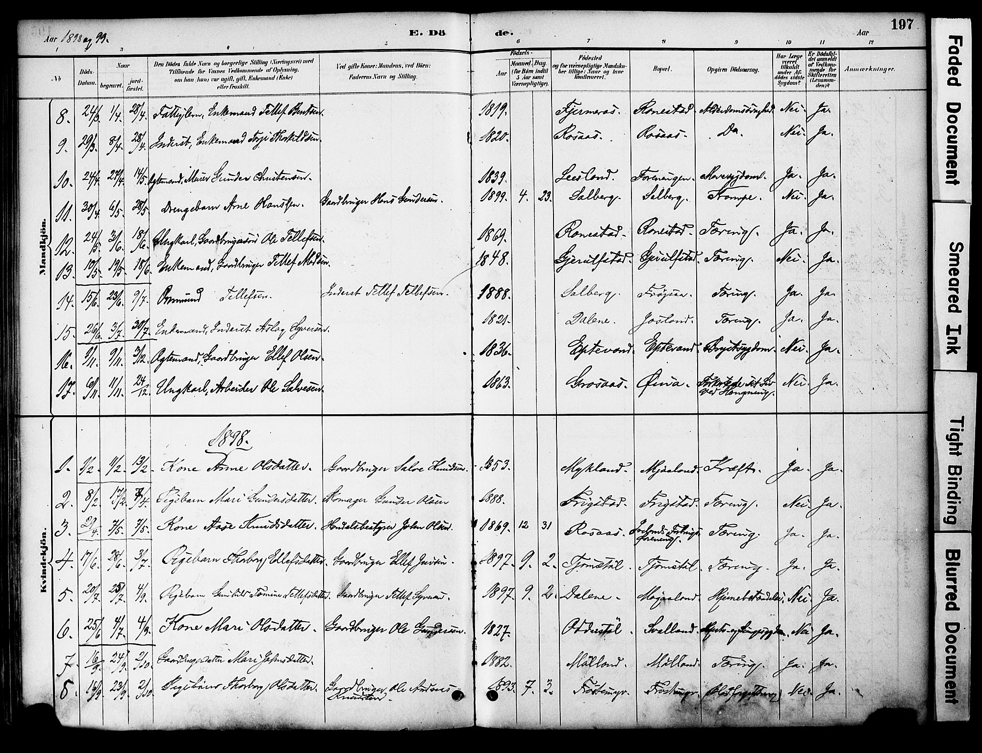 Evje sokneprestkontor, AV/SAK-1111-0008/F/Fa/Fac/L0003: Parish register (official) no. A 3, 1884-1909, p. 197