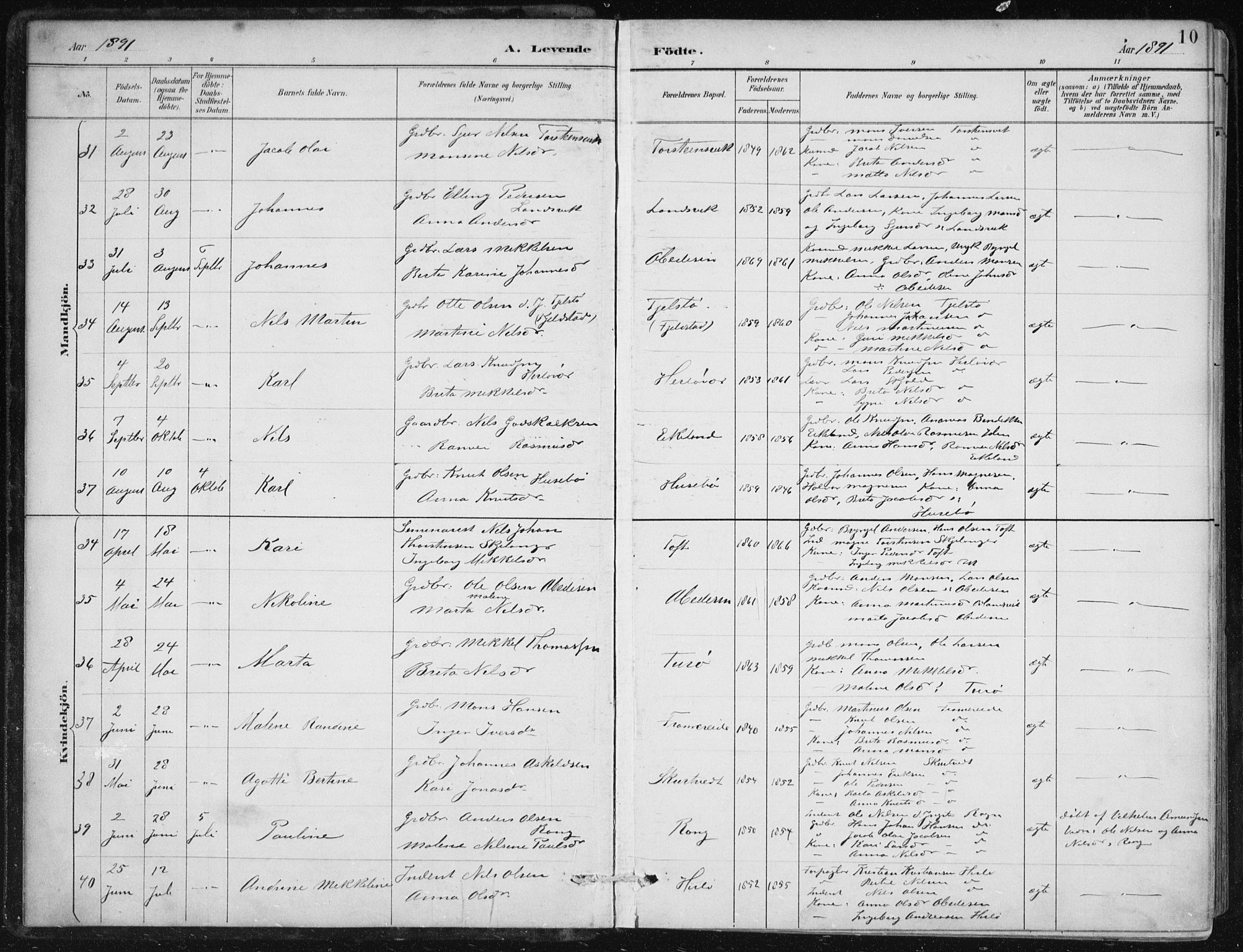 Herdla Sokneprestembete, AV/SAB-A-75701/H/Haa: Parish register (official) no. A 4, 1891-1905, p. 10