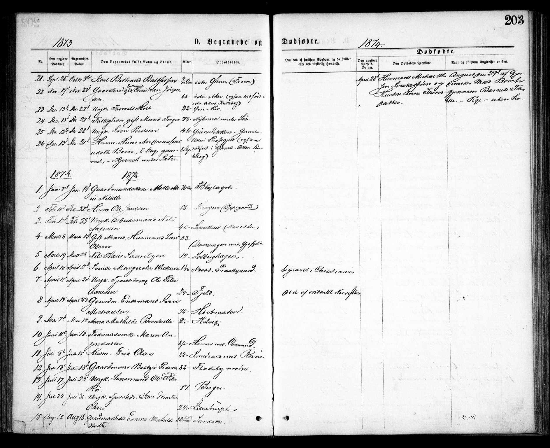 Nesodden prestekontor Kirkebøker, SAO/A-10013/F/Fa/L0008: Parish register (official) no. I 8, 1869-1879, p. 203