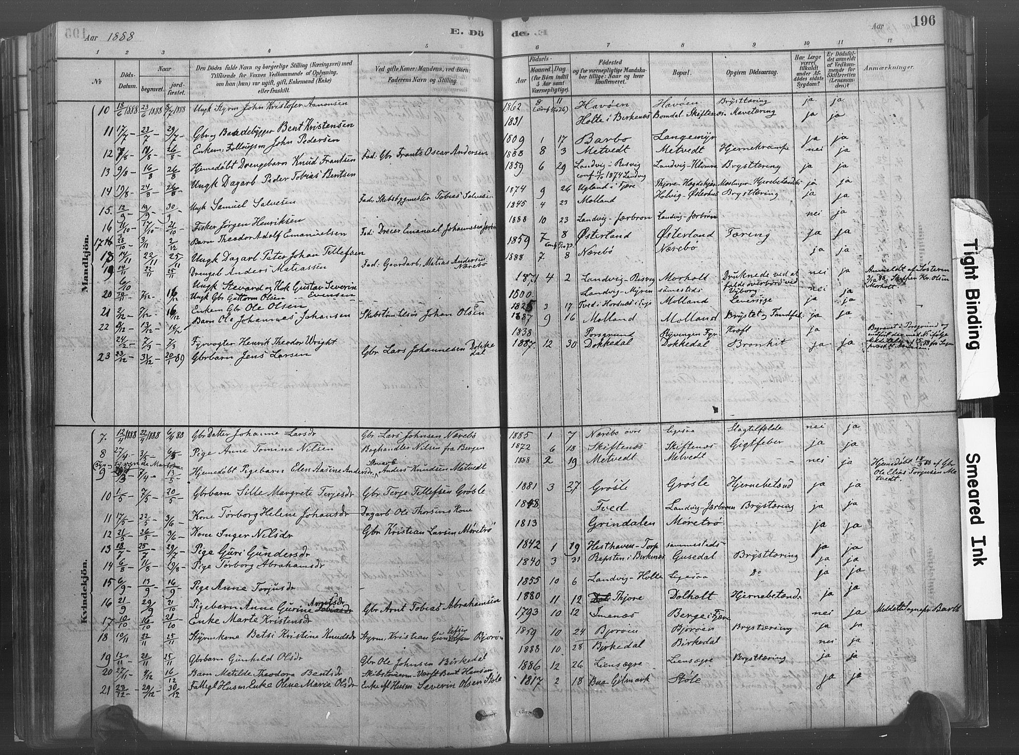 Hommedal sokneprestkontor, SAK/1111-0023/F/Fa/Fab/L0006: Parish register (official) no. A 6, 1878-1897, p. 196