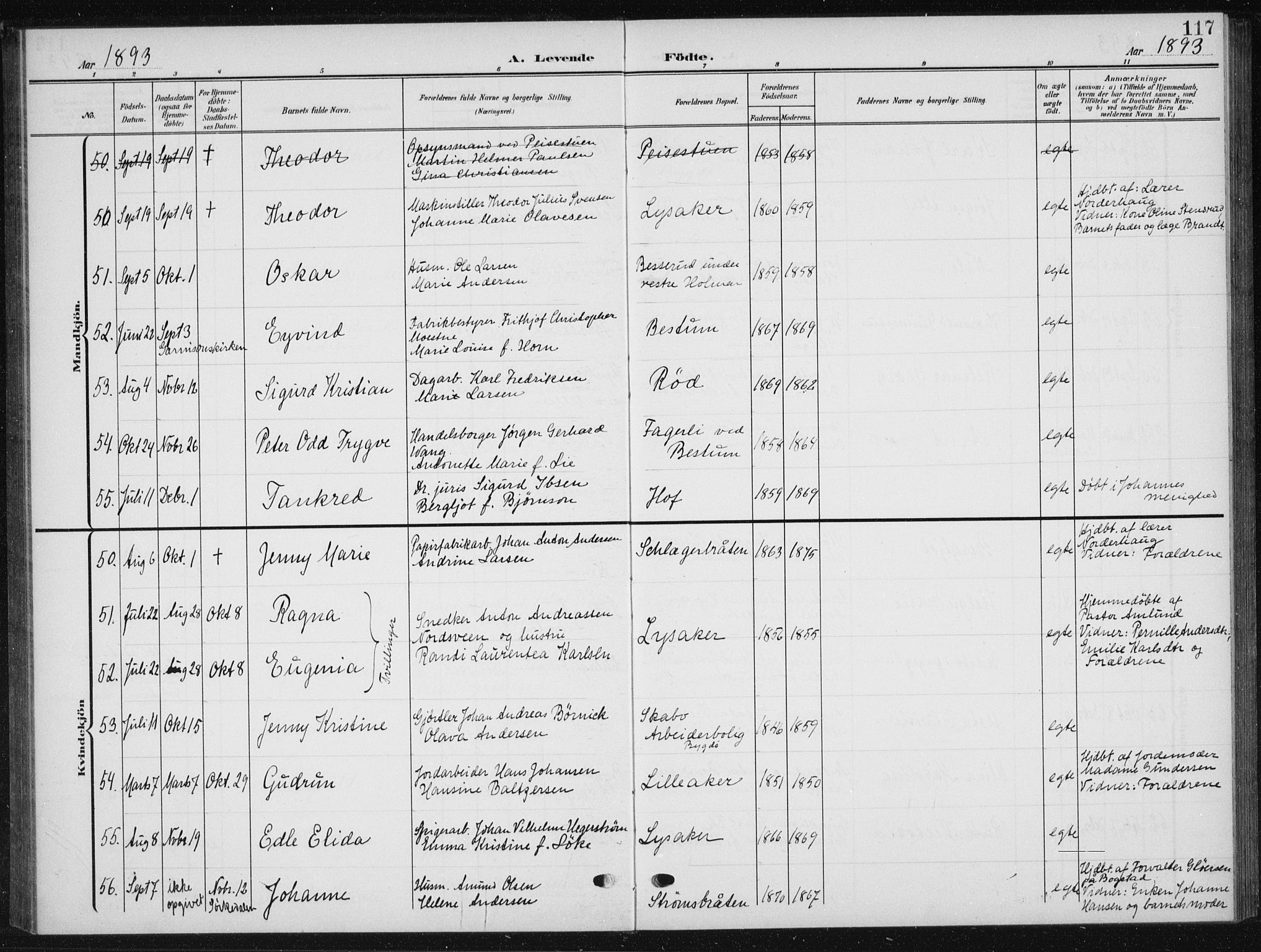 Vestre Aker prestekontor Kirkebøker, AV/SAO-A-10025/F/Fb/L0001: Parish register (official) no. II 1, 1880-1906, p. 117