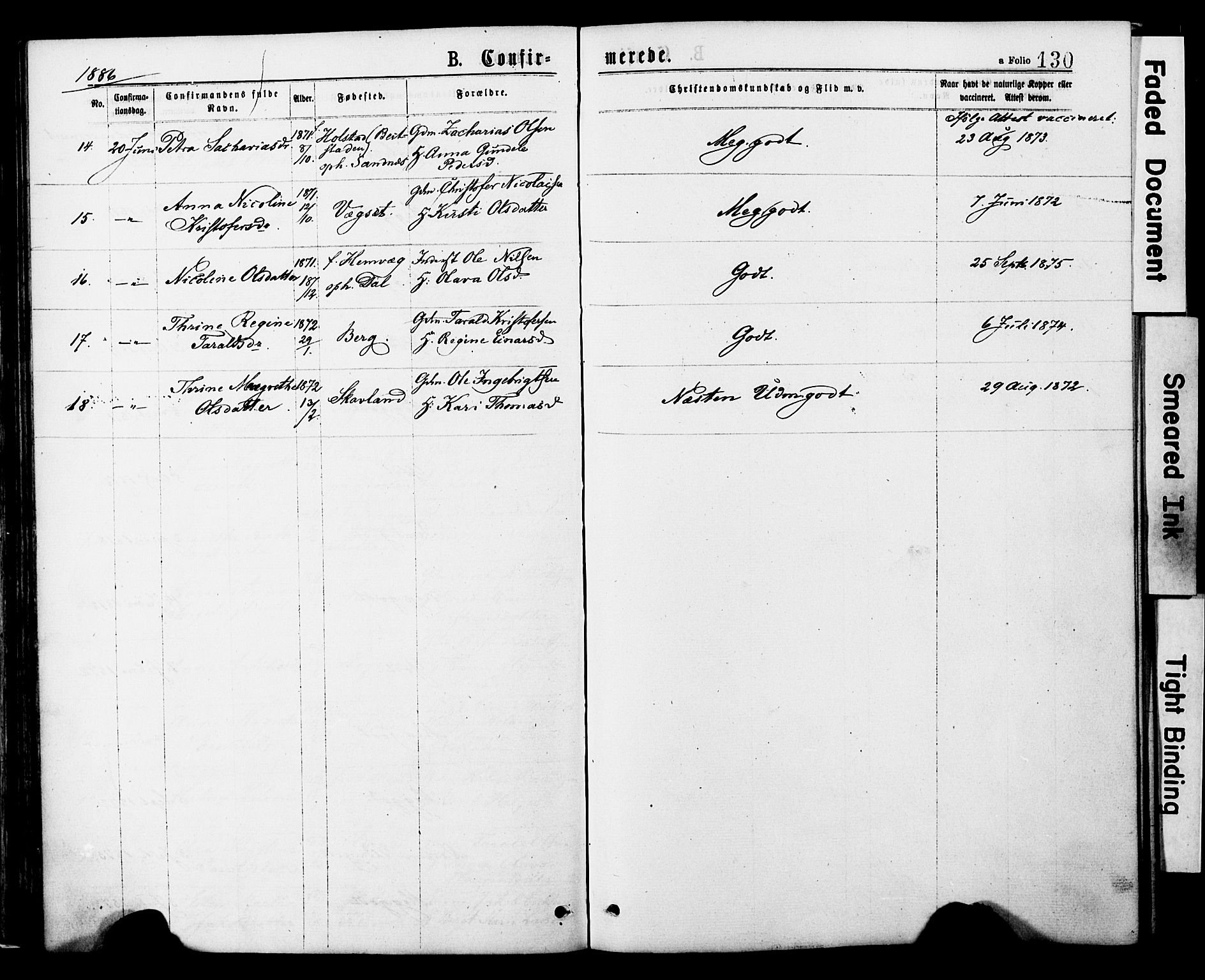 Ministerialprotokoller, klokkerbøker og fødselsregistre - Nord-Trøndelag, AV/SAT-A-1458/749/L0473: Parish register (official) no. 749A07, 1873-1887, p. 130