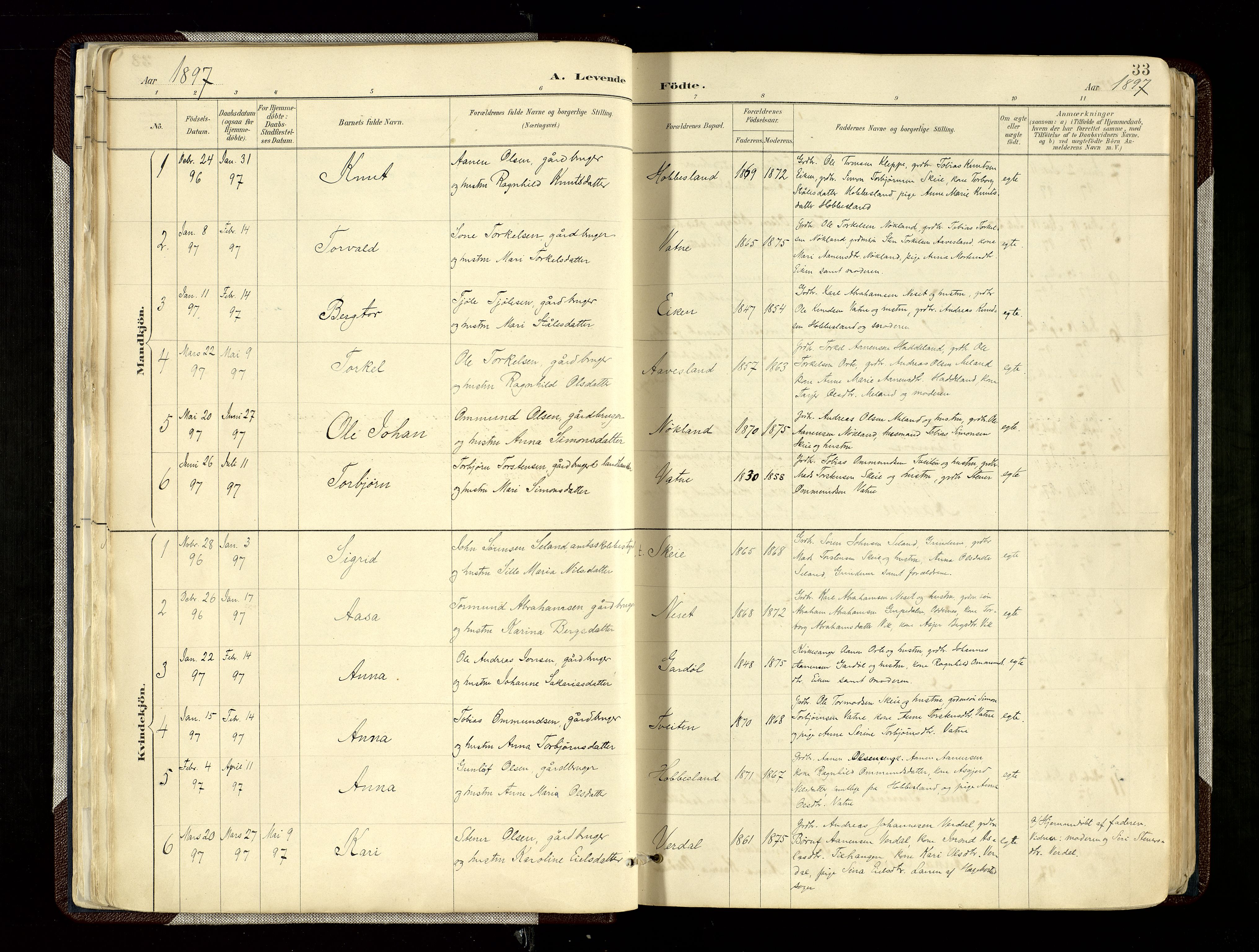 Hægebostad sokneprestkontor, SAK/1111-0024/F/Fa/Fab/L0004: Parish register (official) no. A 4, 1887-1929, p. 33