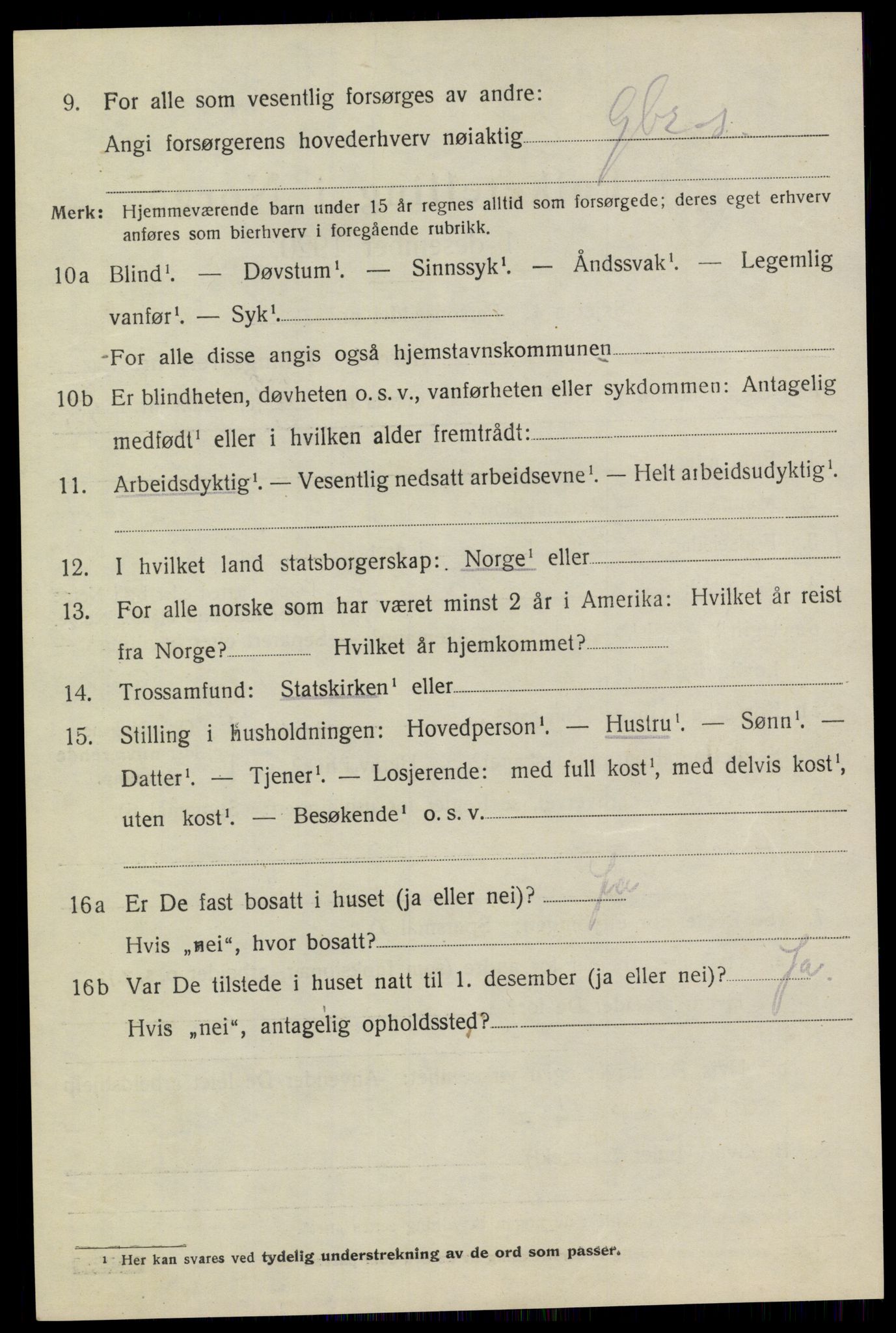 SAKO, 1920 census for Heddal, 1920, p. 6013