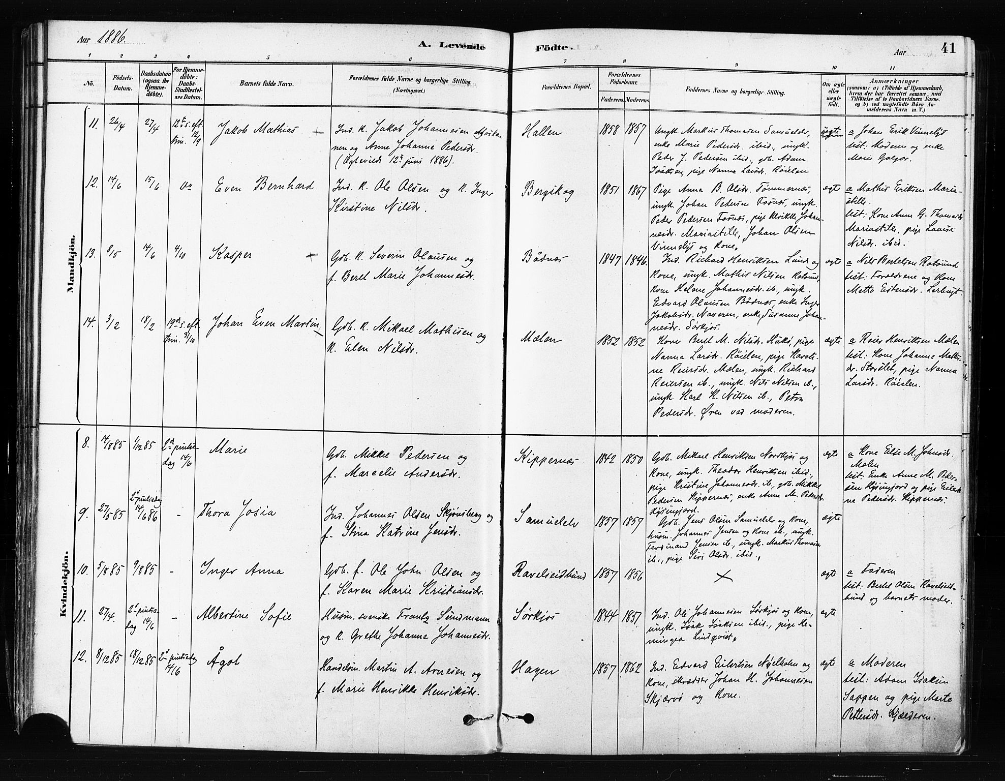 Skjervøy sokneprestkontor, AV/SATØ-S-1300/H/Ha/Haa/L0014kirke: Parish register (official) no. 14, 1878-1894, p. 41