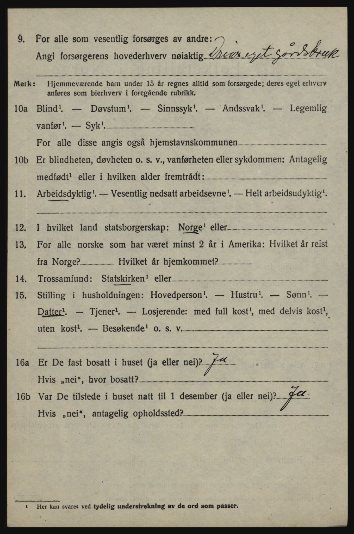 SAO, 1920 census for Skjeberg, 1920, p. 15074