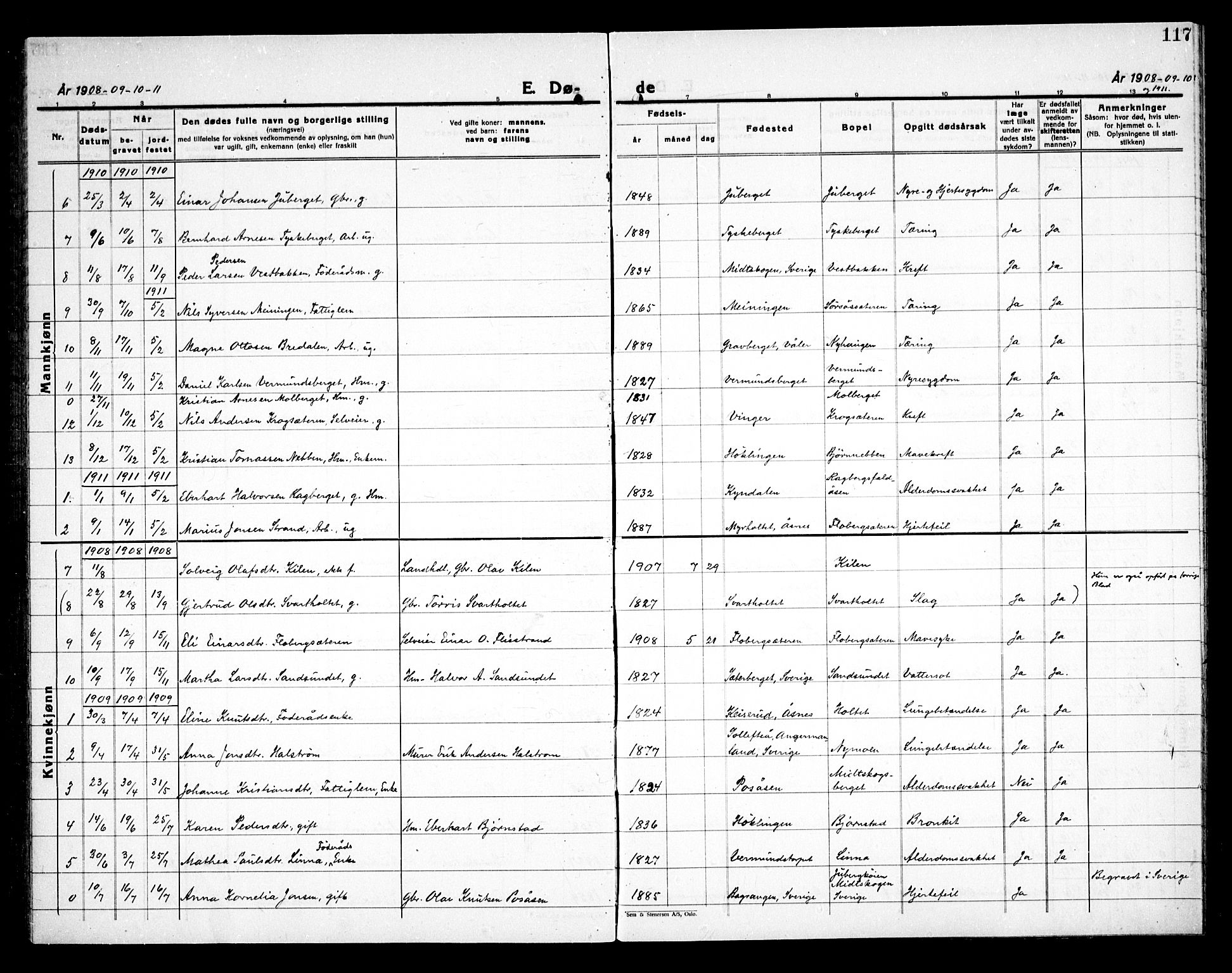 Åsnes prestekontor, AV/SAH-PREST-042/H/Ha/Haa/L0000E: Parish register (official) no. 0C, 1890-1929, p. 117