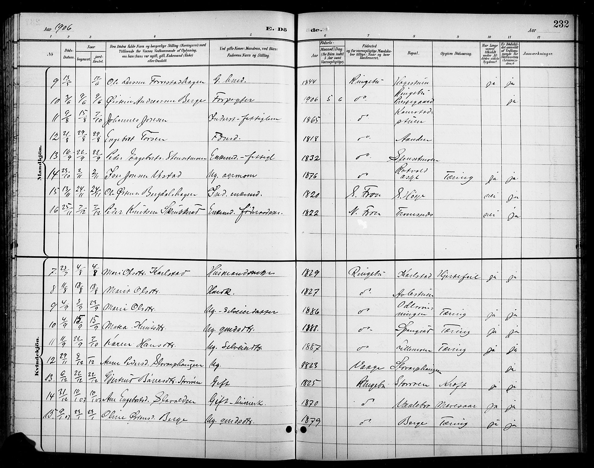 Ringebu prestekontor, AV/SAH-PREST-082/H/Ha/Hab/L0009: Parish register (copy) no. 9, 1899-1921, p. 232