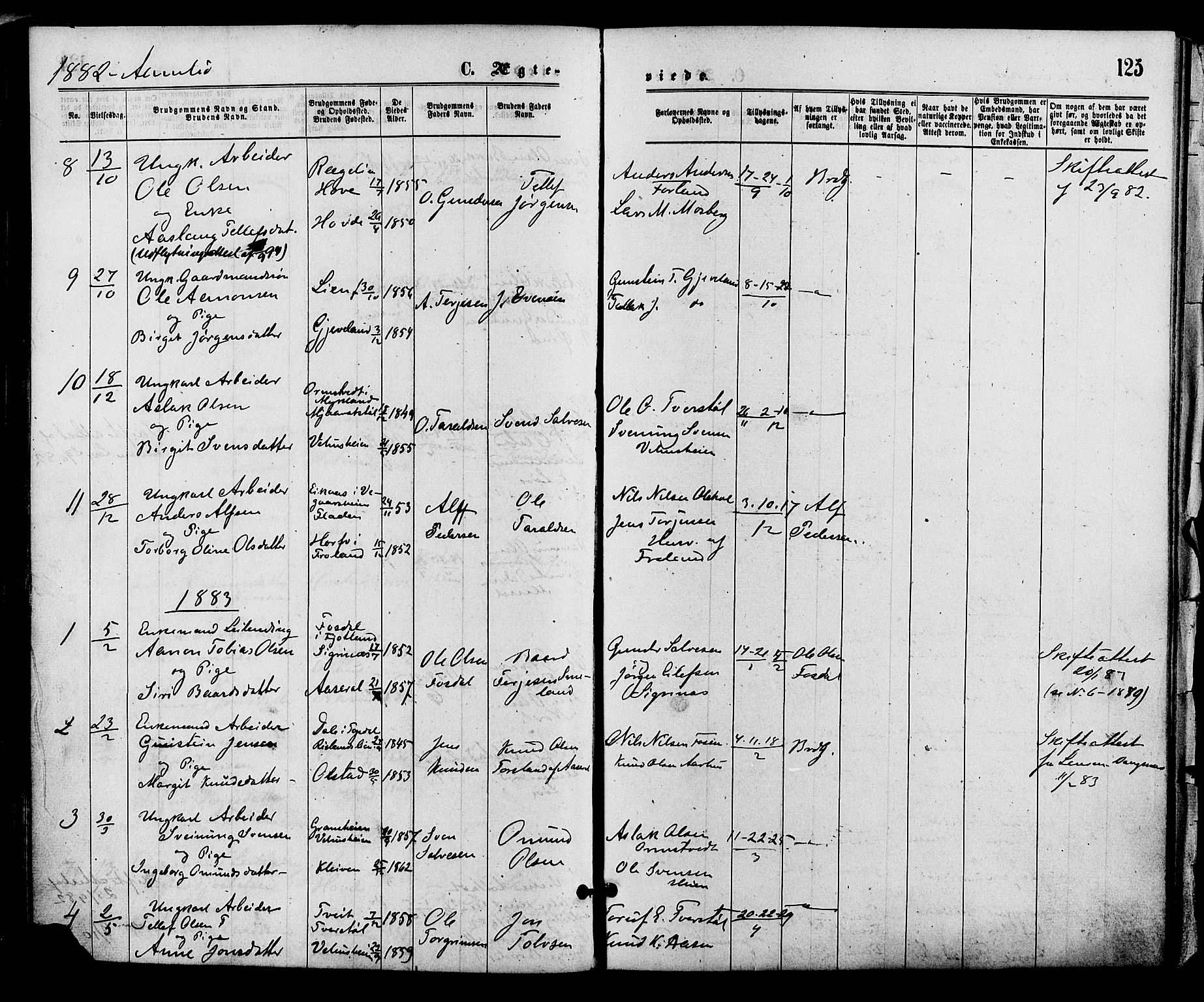 Åmli sokneprestkontor, AV/SAK-1111-0050/F/Fa/Fac/L0009: Parish register (official) no. A 9 /1, 1869-1884, p. 125