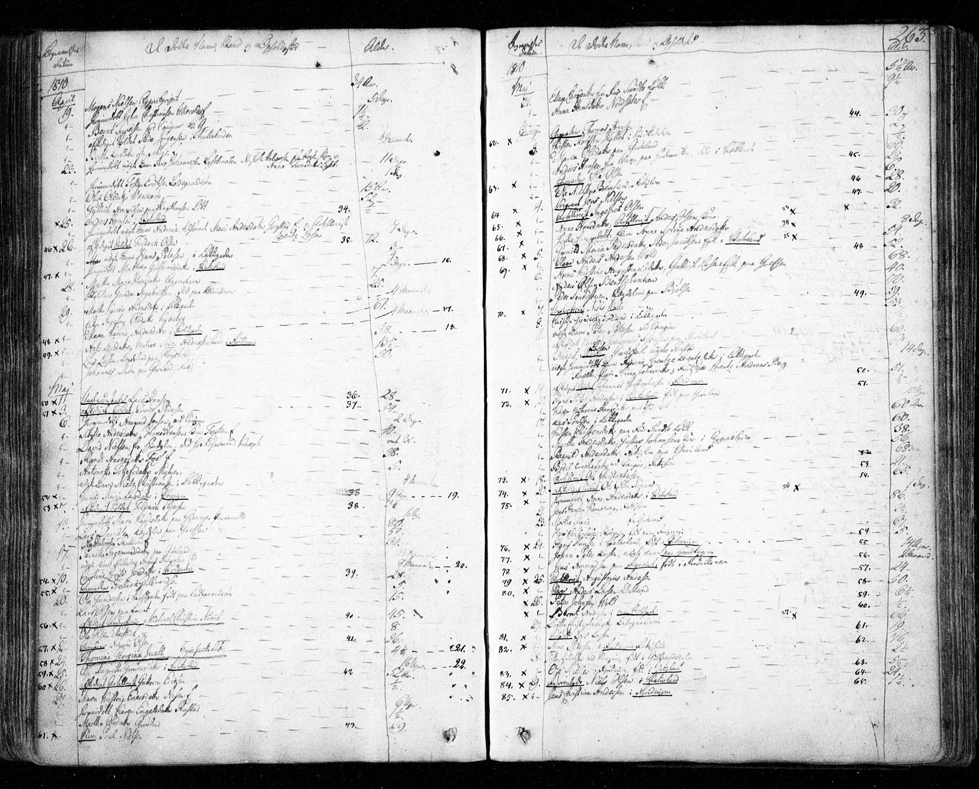 Aker prestekontor kirkebøker, AV/SAO-A-10861/F/L0011: Parish register (official) no. 11, 1810-1819, p. 263