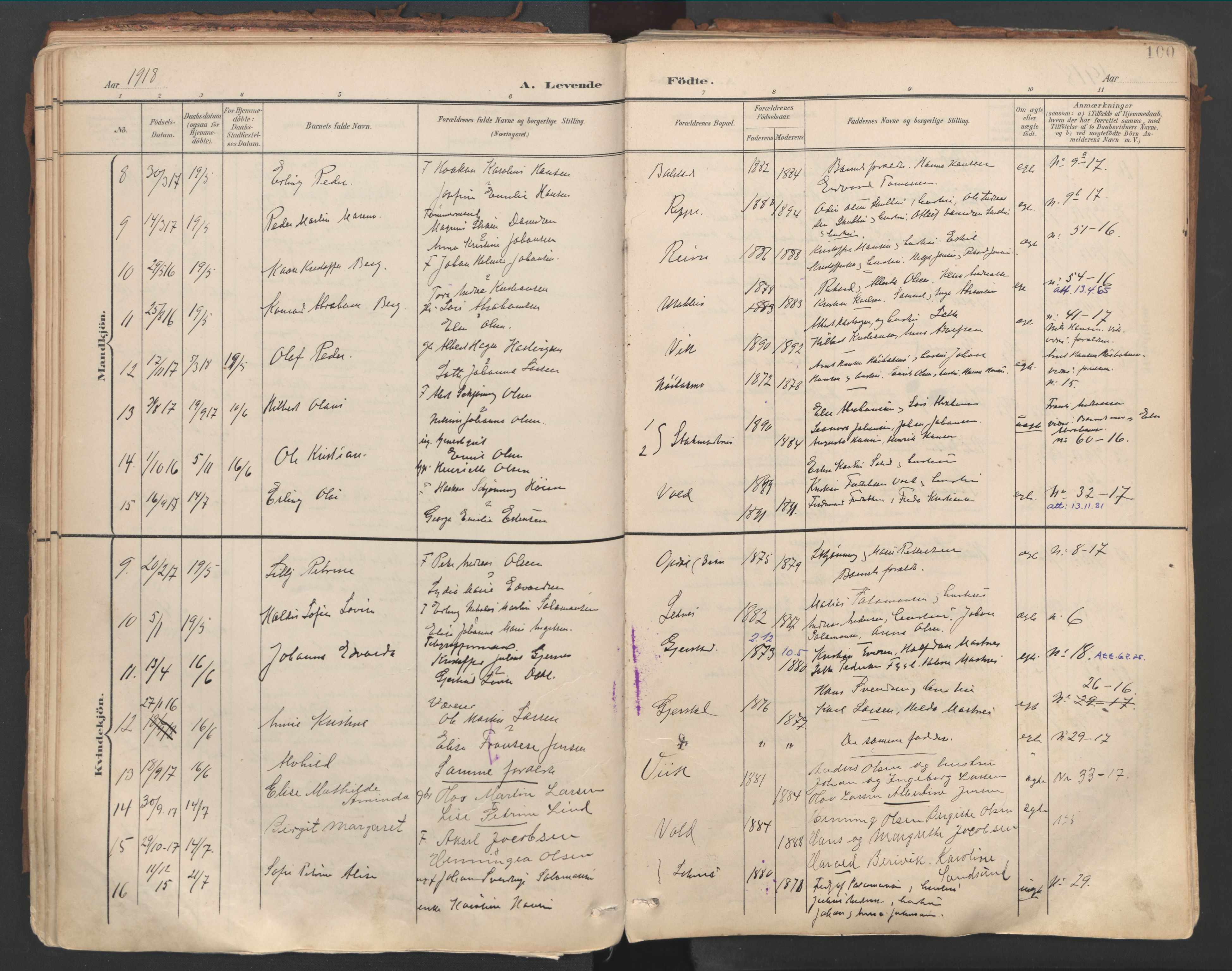 Ministerialprotokoller, klokkerbøker og fødselsregistre - Nordland, AV/SAT-A-1459/881/L1154: Parish register (official) no. 881A07, 1907-1918, p. 100