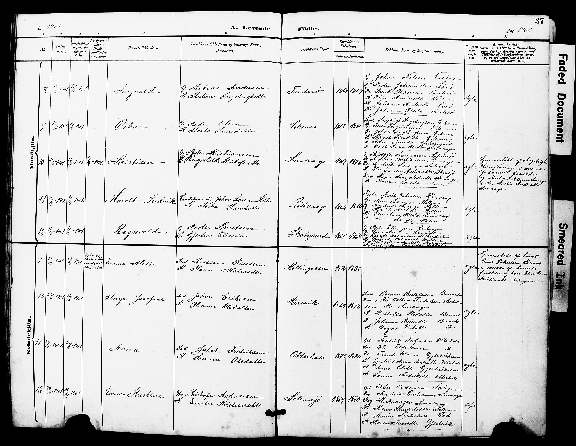 Ministerialprotokoller, klokkerbøker og fødselsregistre - Møre og Romsdal, SAT/A-1454/560/L0725: Parish register (copy) no. 560C02, 1895-1930, p. 37