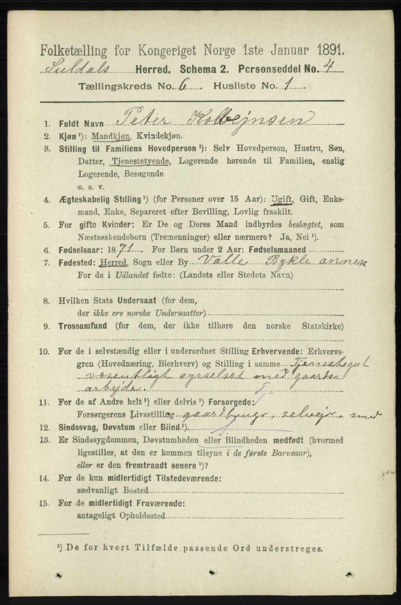 RA, 1891 census for 1134 Suldal, 1891, p. 1598