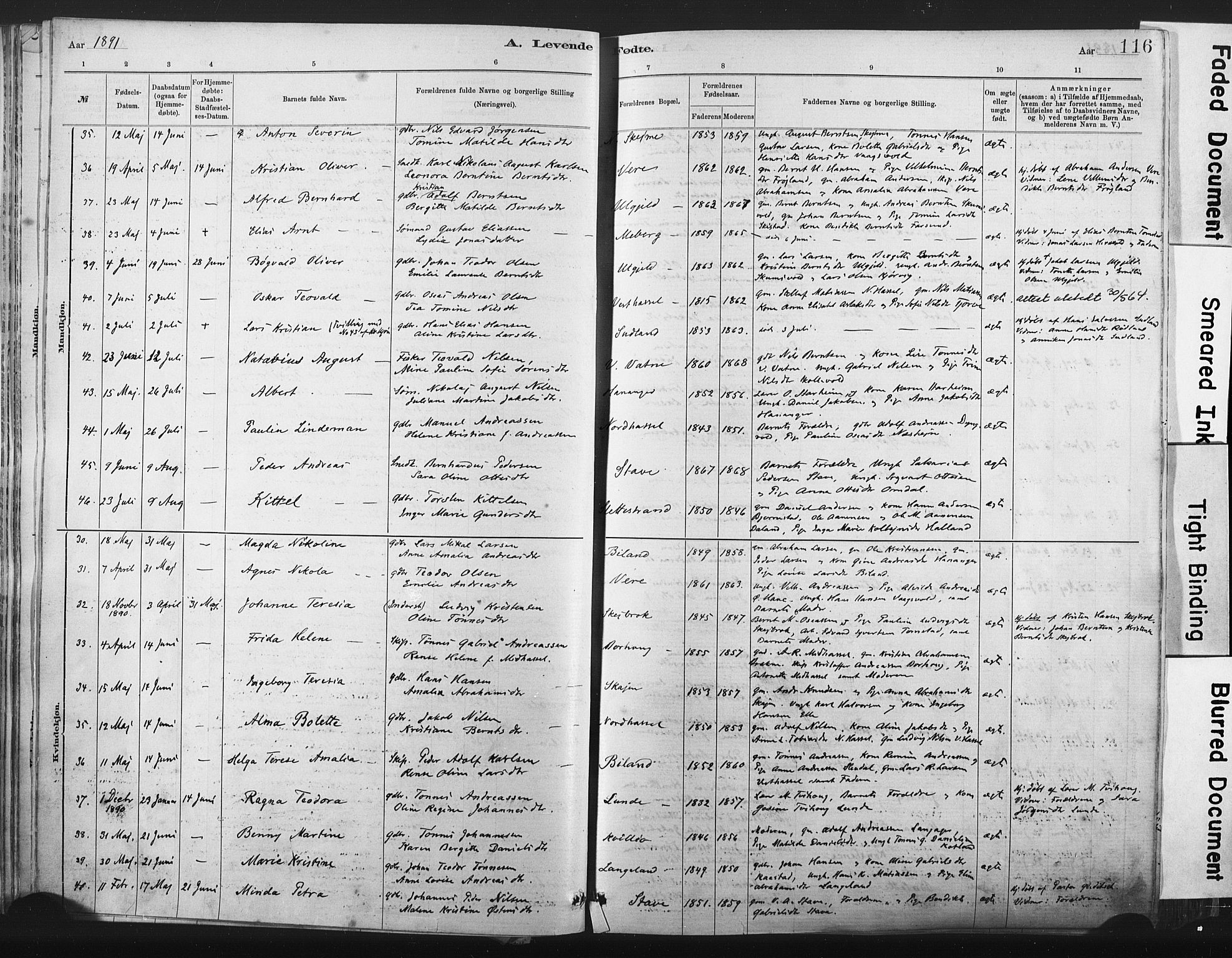 Lista sokneprestkontor, AV/SAK-1111-0027/F/Fa/L0012: Parish register (official) no. A 12, 1879-1903, p. 116