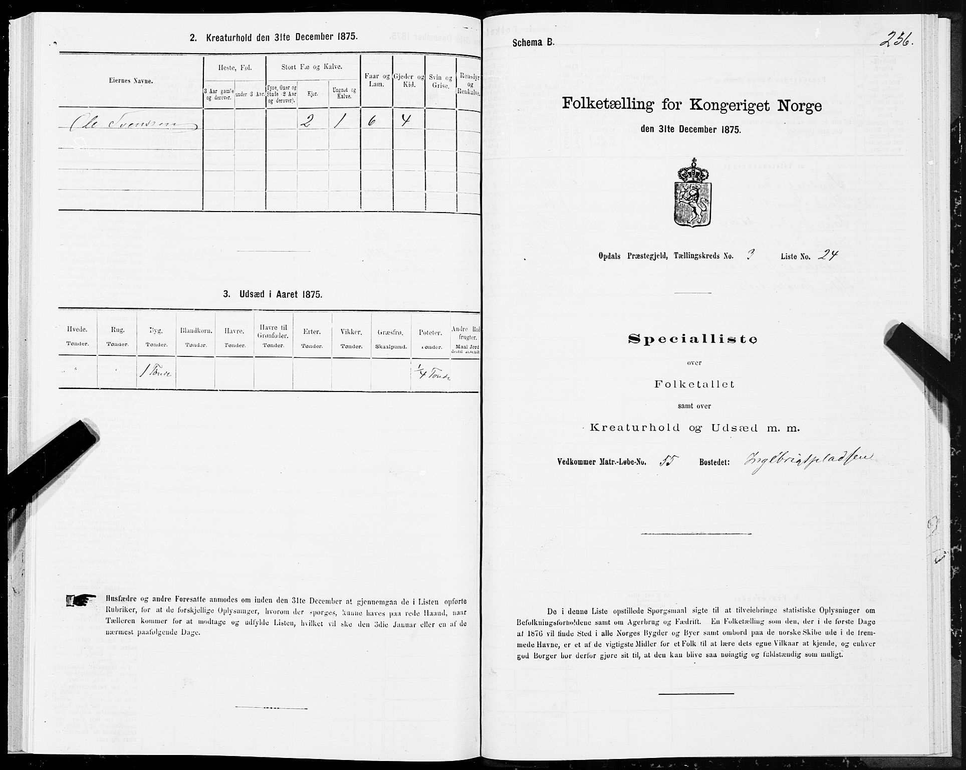SAT, 1875 census for 1634P Oppdal, 1875, p. 2236