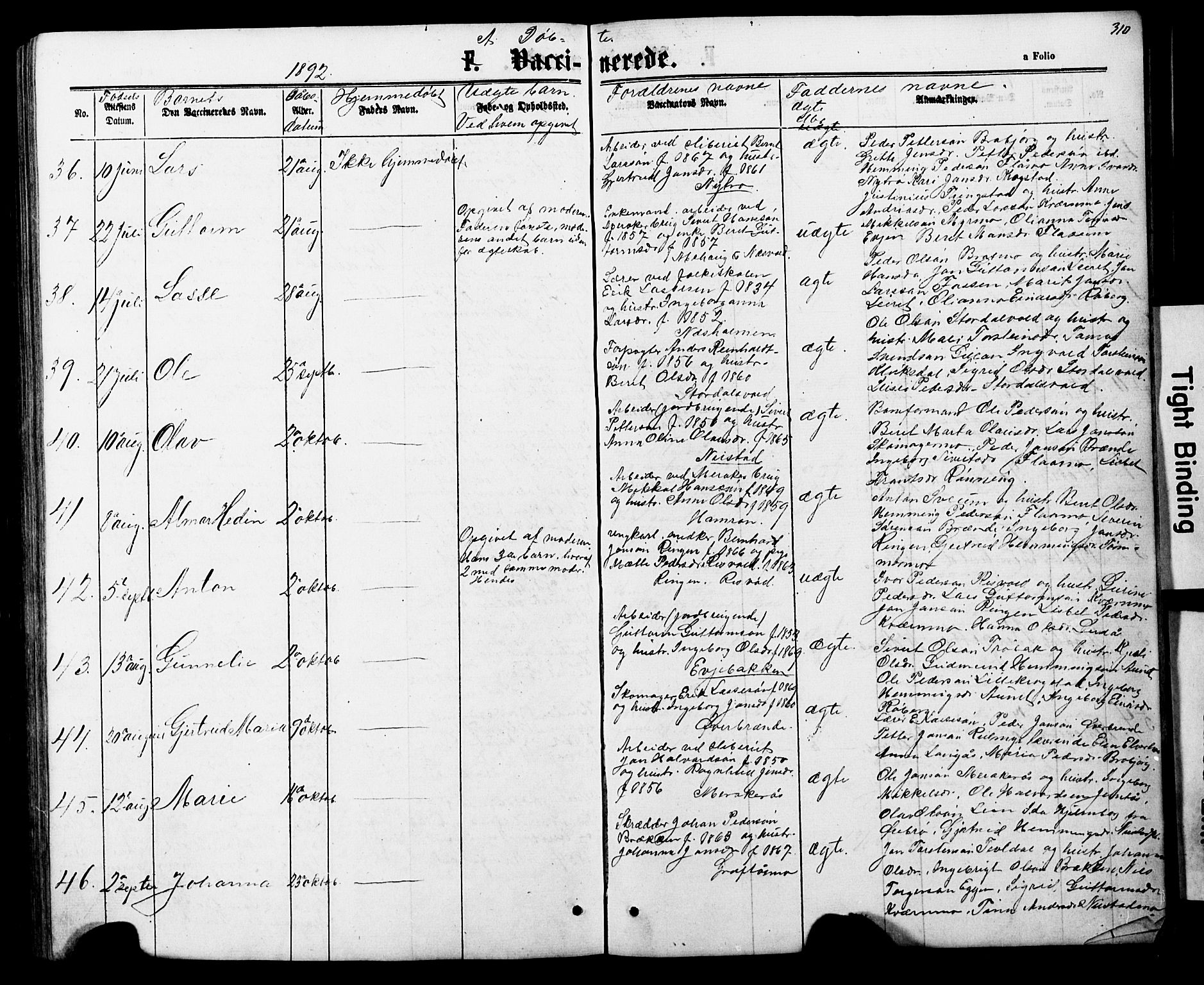 Ministerialprotokoller, klokkerbøker og fødselsregistre - Nord-Trøndelag, SAT/A-1458/706/L0049: Parish register (copy) no. 706C01, 1864-1895, p. 310