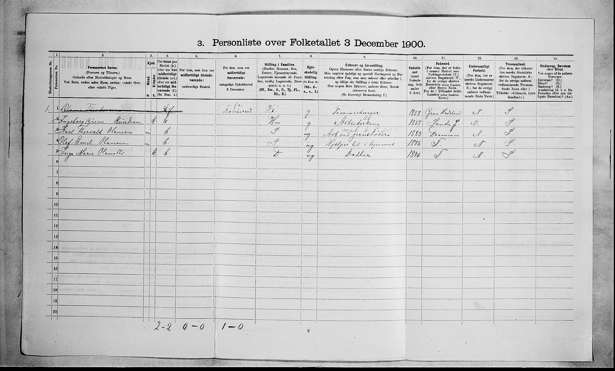 RA, 1900 census for Skoger, 1900, p. 439