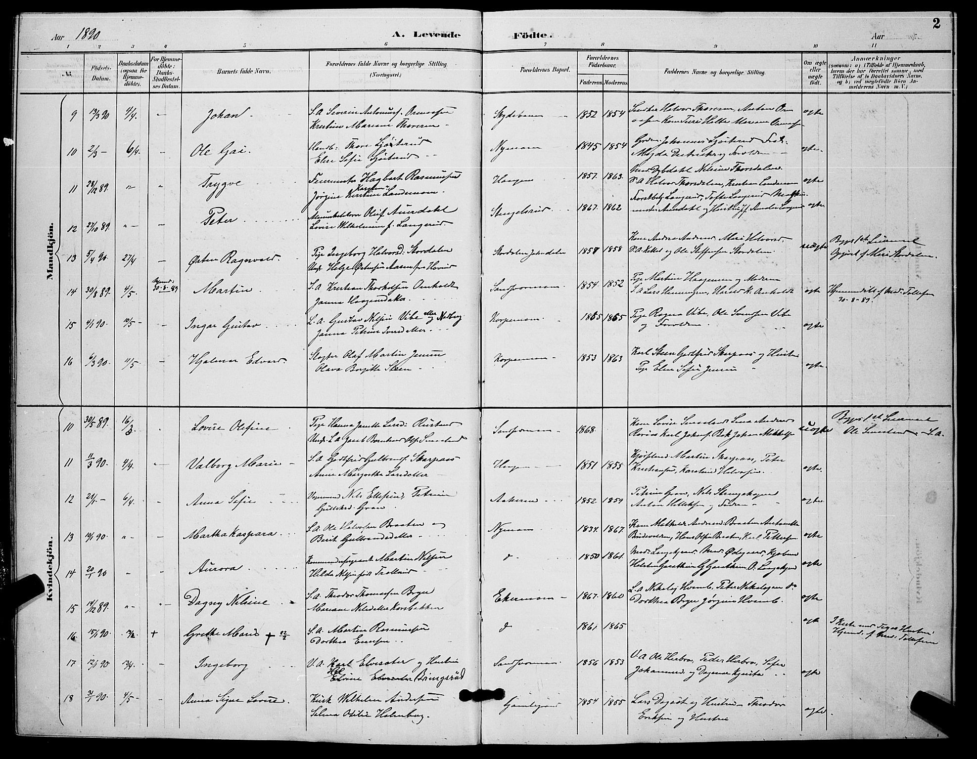 Kongsberg kirkebøker, AV/SAKO-A-22/G/Ga/L0006: Parish register (copy) no. 6, 1890-1901, p. 2