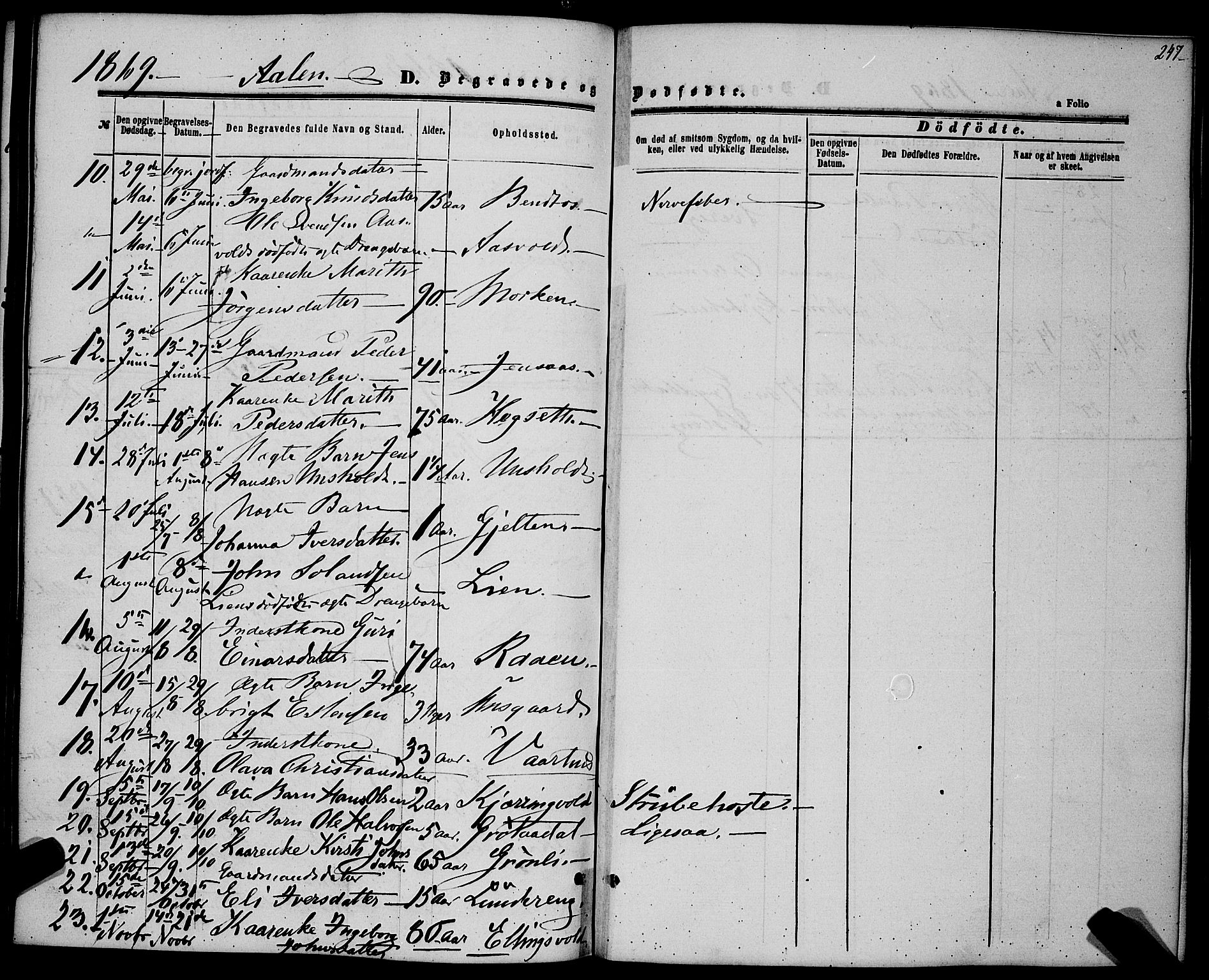 Ministerialprotokoller, klokkerbøker og fødselsregistre - Sør-Trøndelag, SAT/A-1456/685/L0968: Parish register (official) no. 685A07 /3, 1860-1869, p. 247