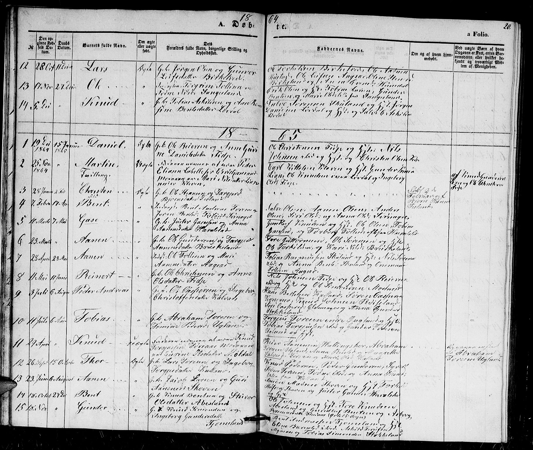 Holum sokneprestkontor, AV/SAK-1111-0022/F/Fb/Fbb/L0002: Parish register (copy) no. B 2, 1847-1874, p. 20