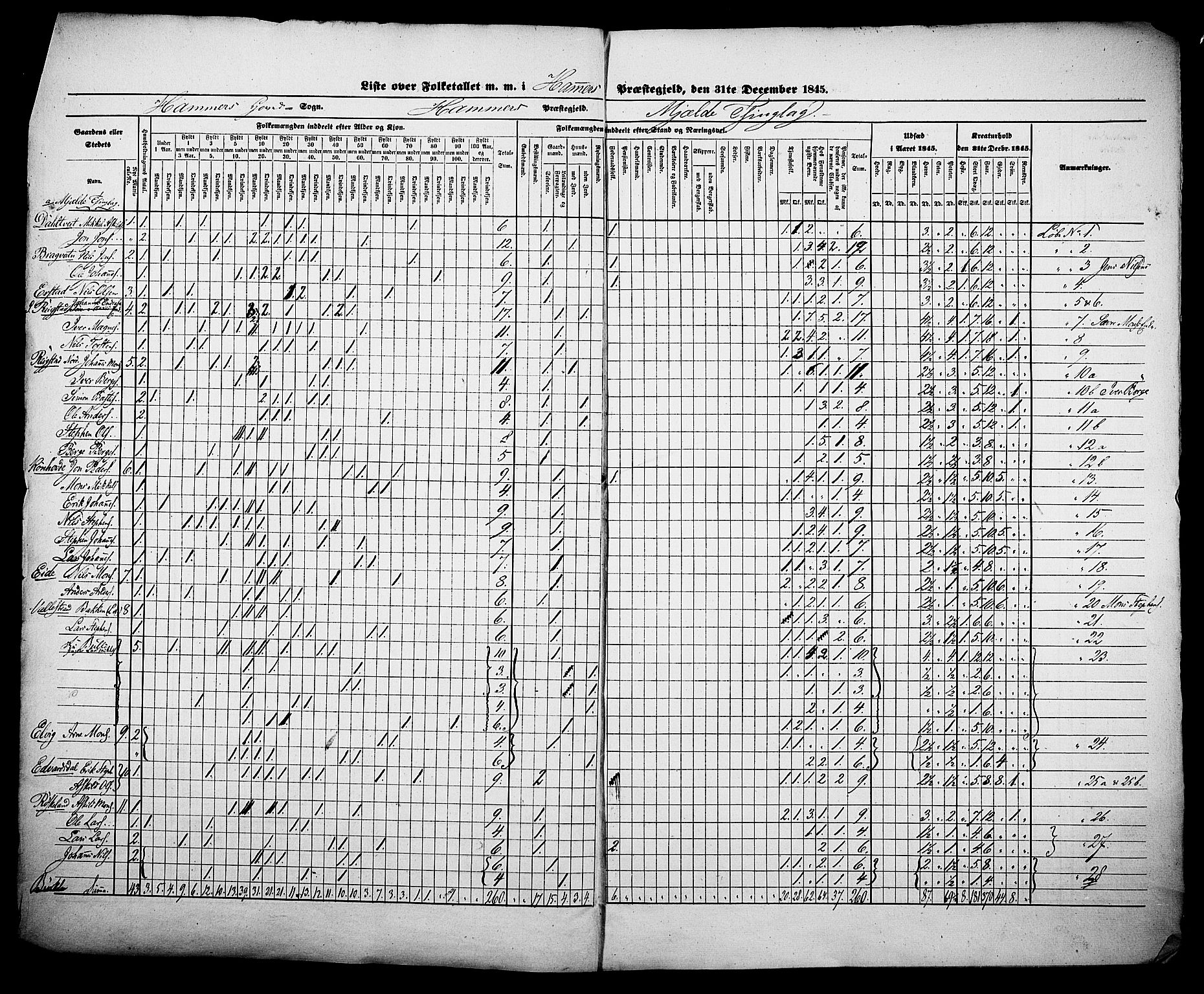 , Census 1845 for Hamre, 1845, p. 8